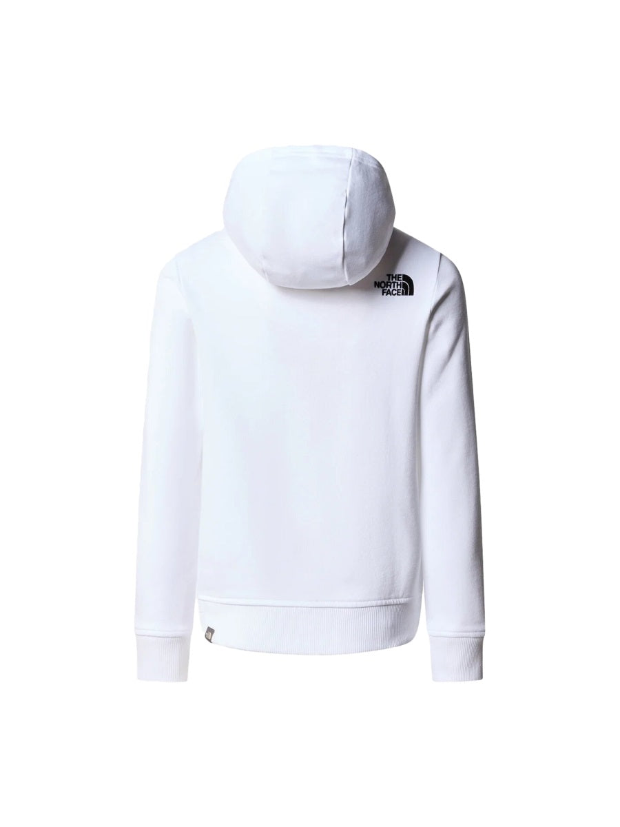 THE NORTH FACE Mini Drew Peak Light Pullover Hoodie for Teens