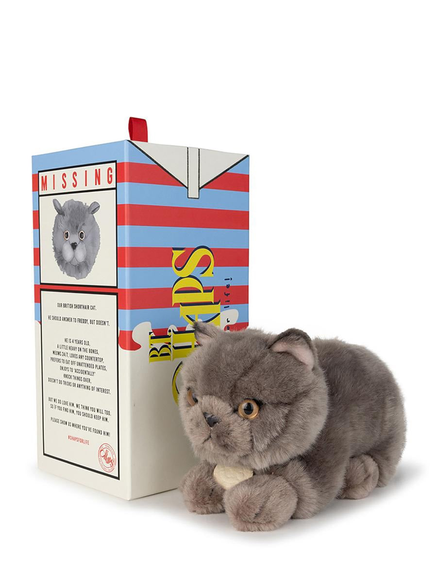 BON TON TOYS Mini British Shorthair Plush Toy in Giftbox