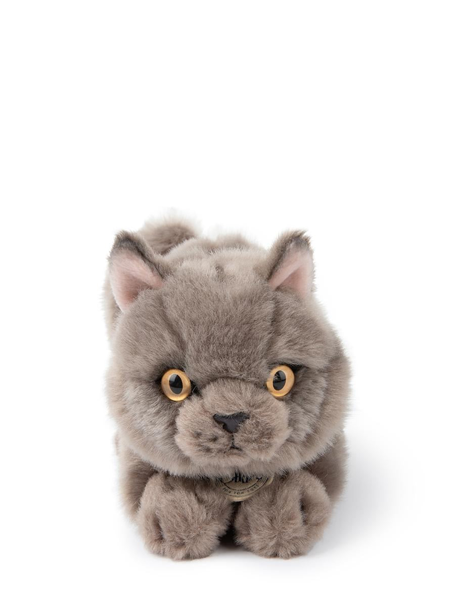 BON TON TOYS Mini British Shorthair Plush Toy in Giftbox