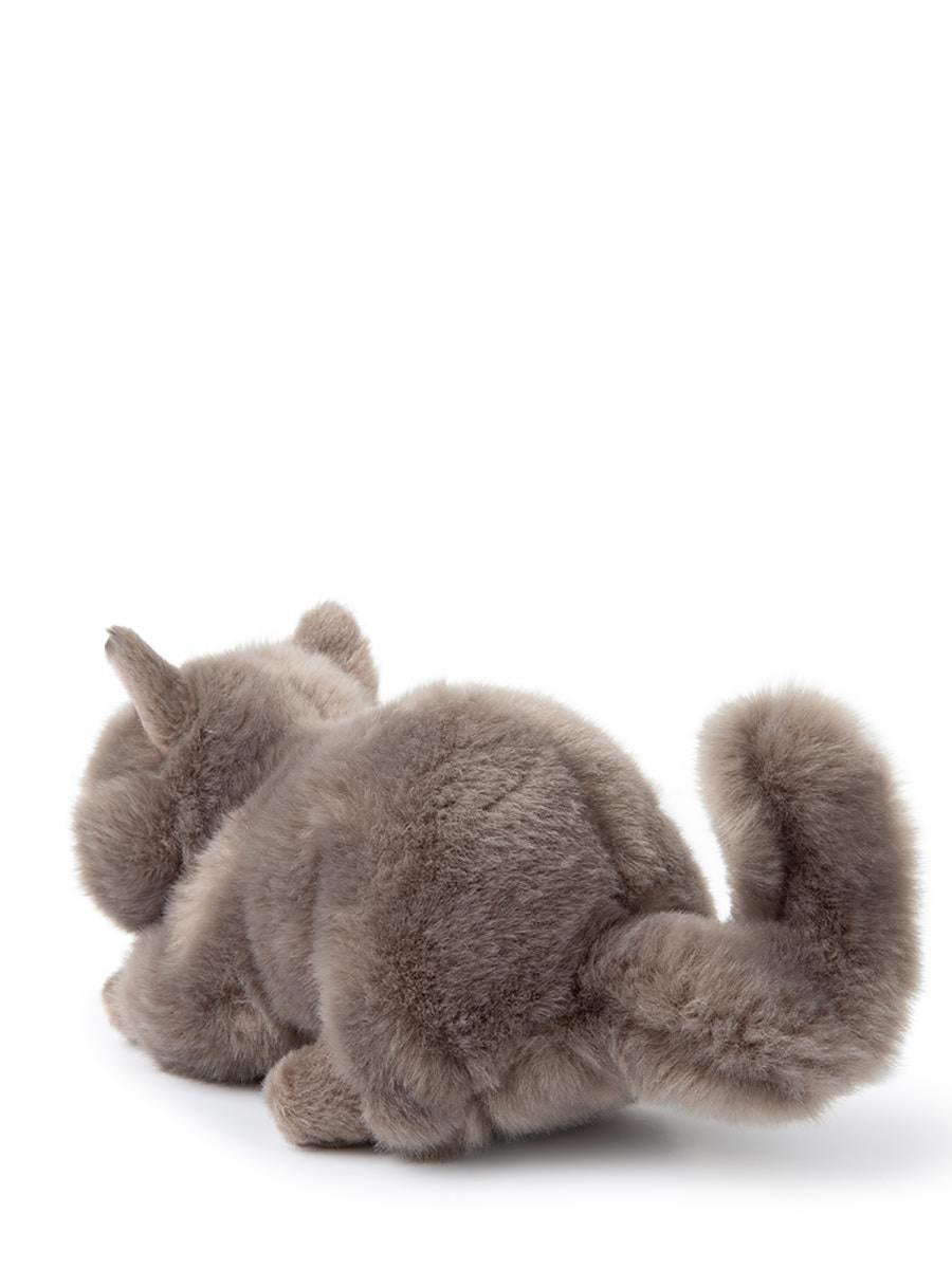 BON TON TOYS Mini British Shorthair Plush Toy in Giftbox