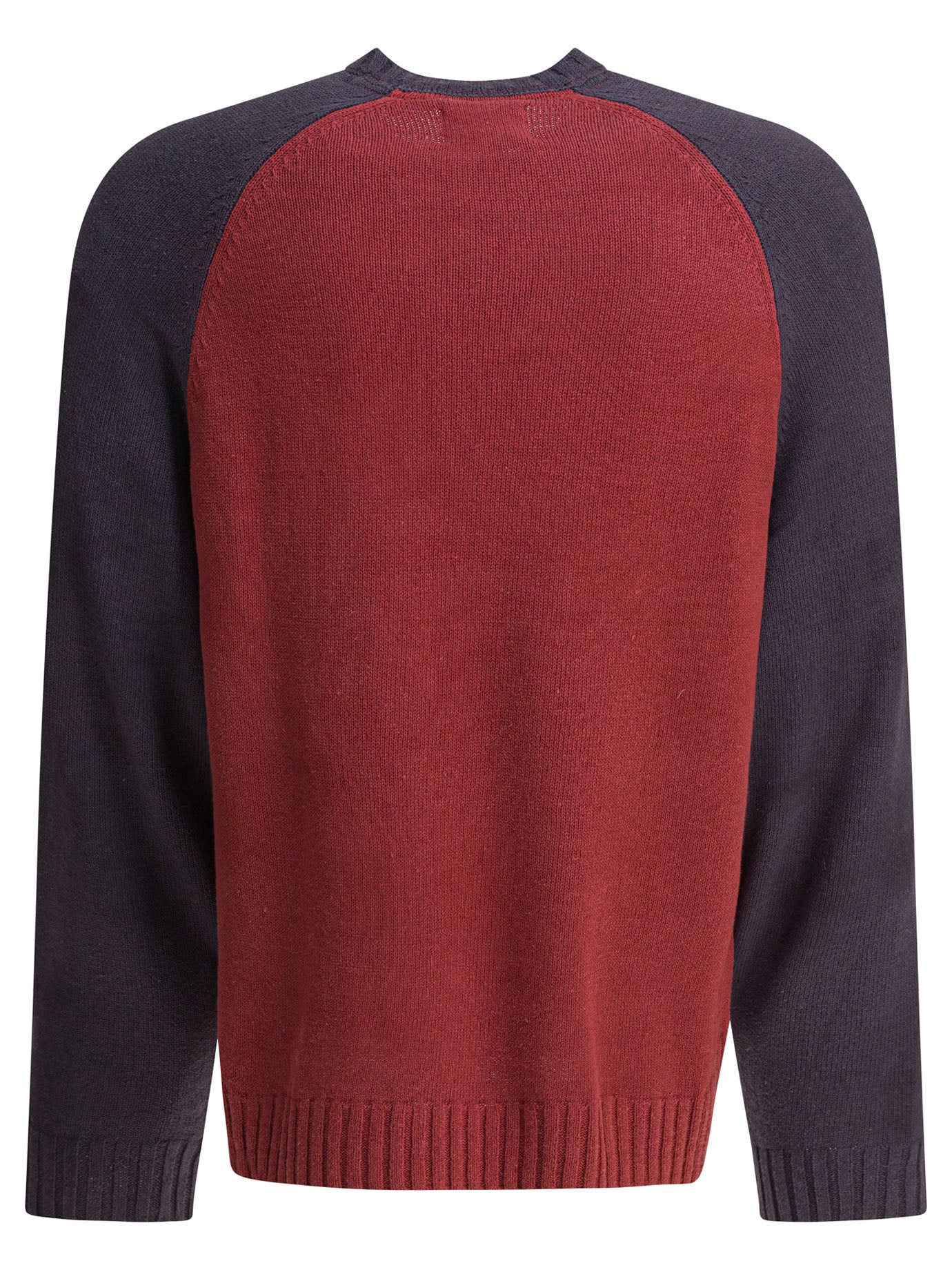 STUSSY Colorblocked Raglan Crew for Men