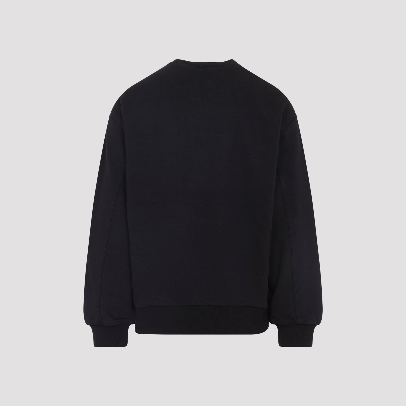 CARHARTT WIP Detroit Sweatshirt for Men - FW25