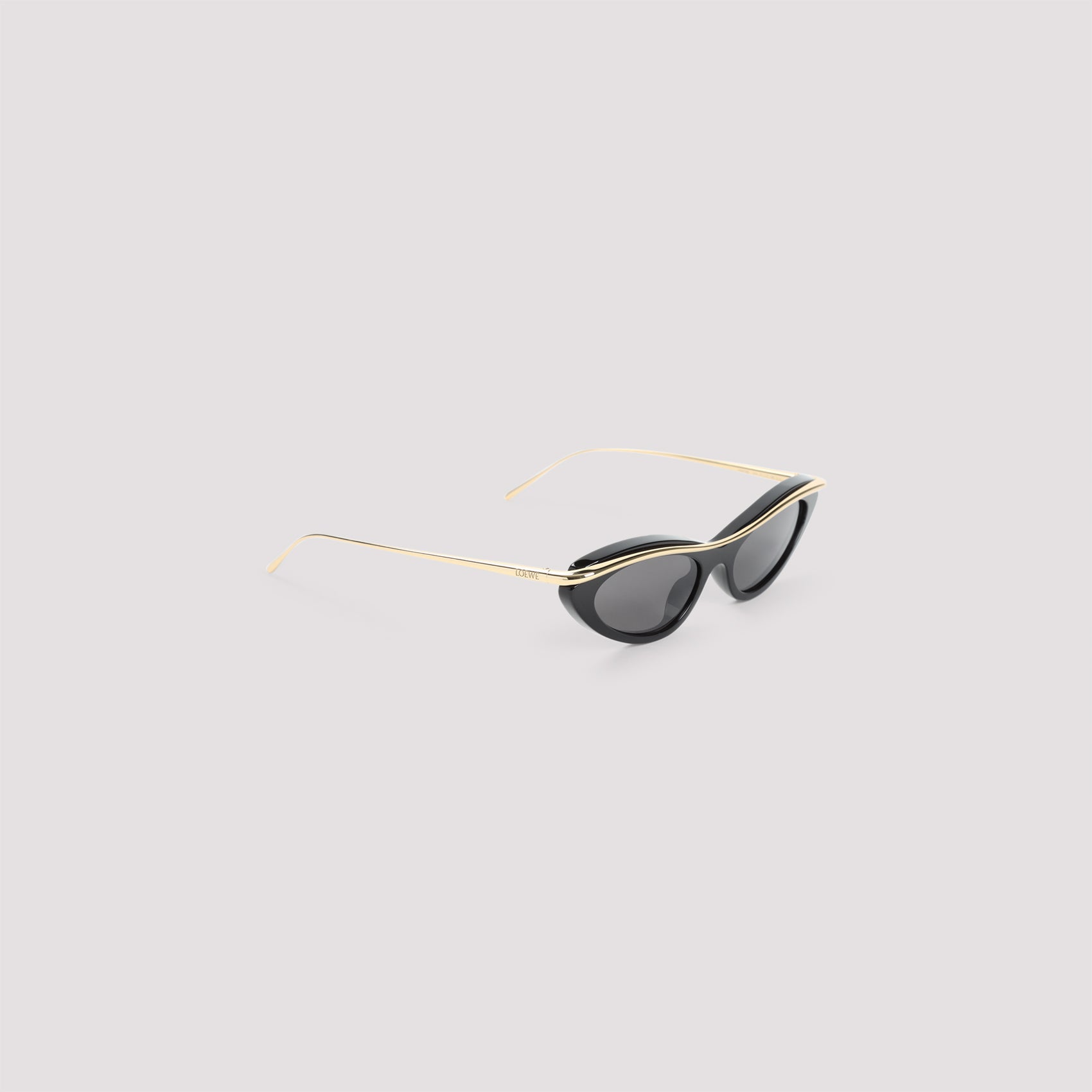 LOEWE EYEWEAR Acetate Sunglasses for Men - FW25 Collection