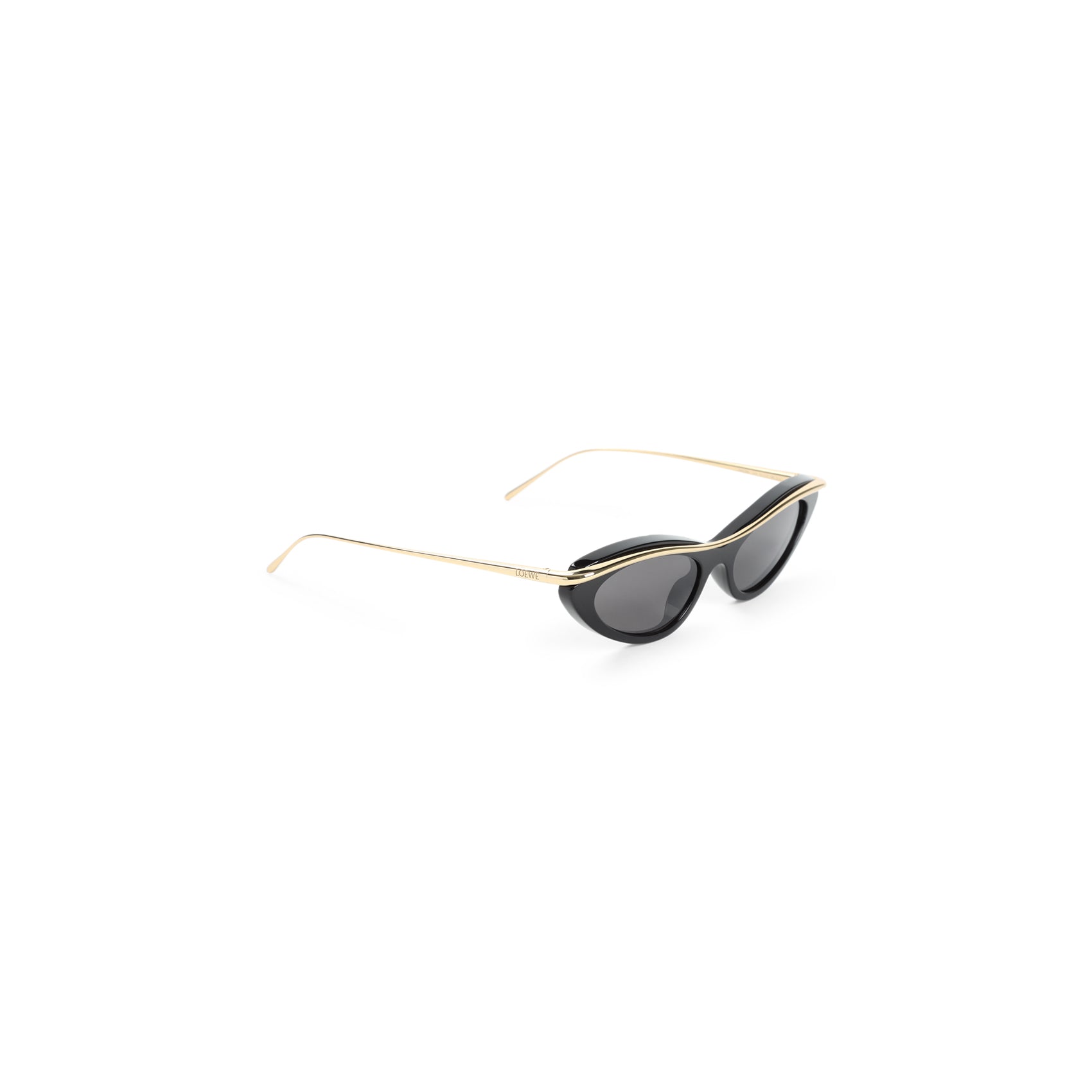 LOEWE EYEWEAR Acetate Sunglasses for Men - FW25 Collection