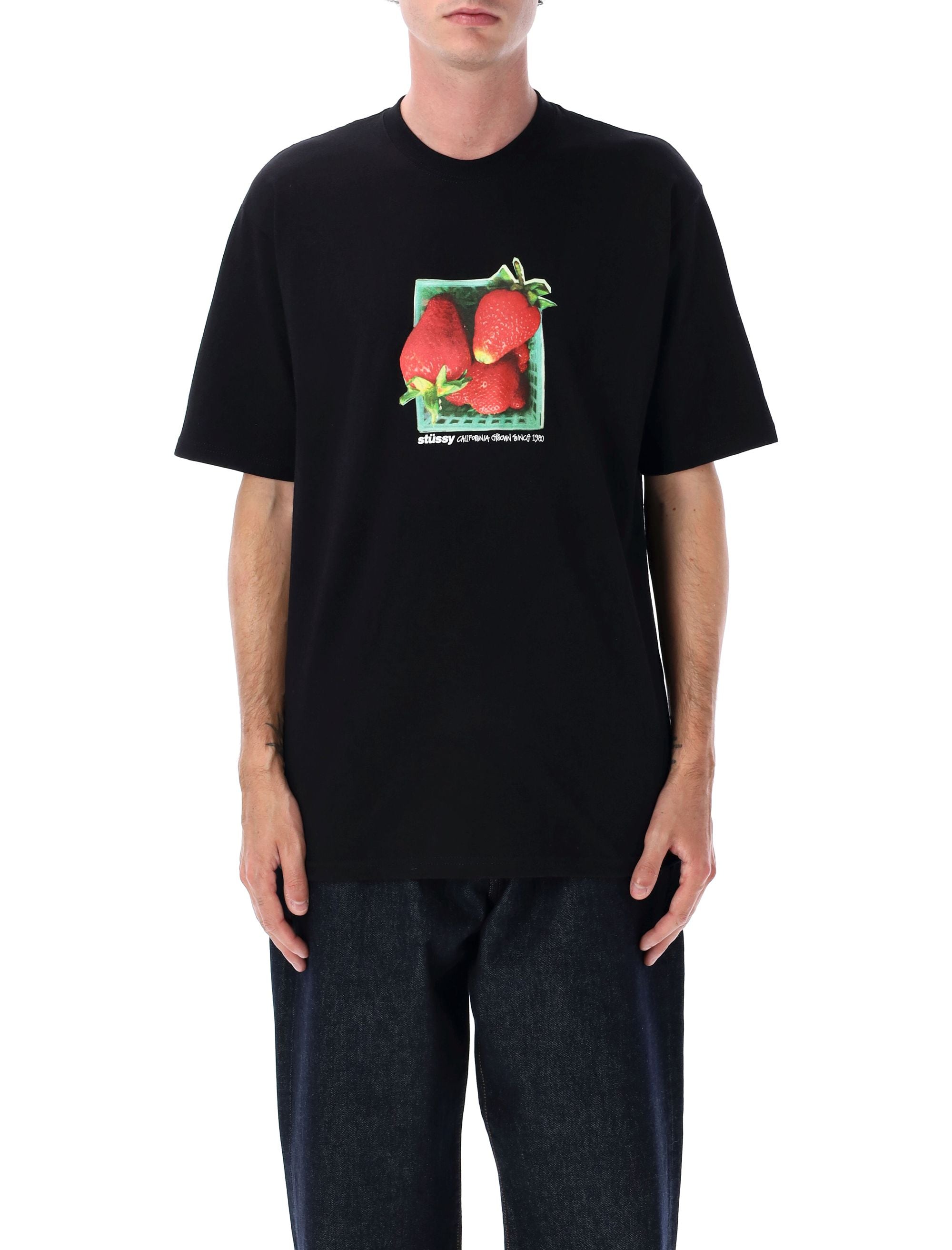 STUSSY Berries Tee - Relaxed Fit, Size L