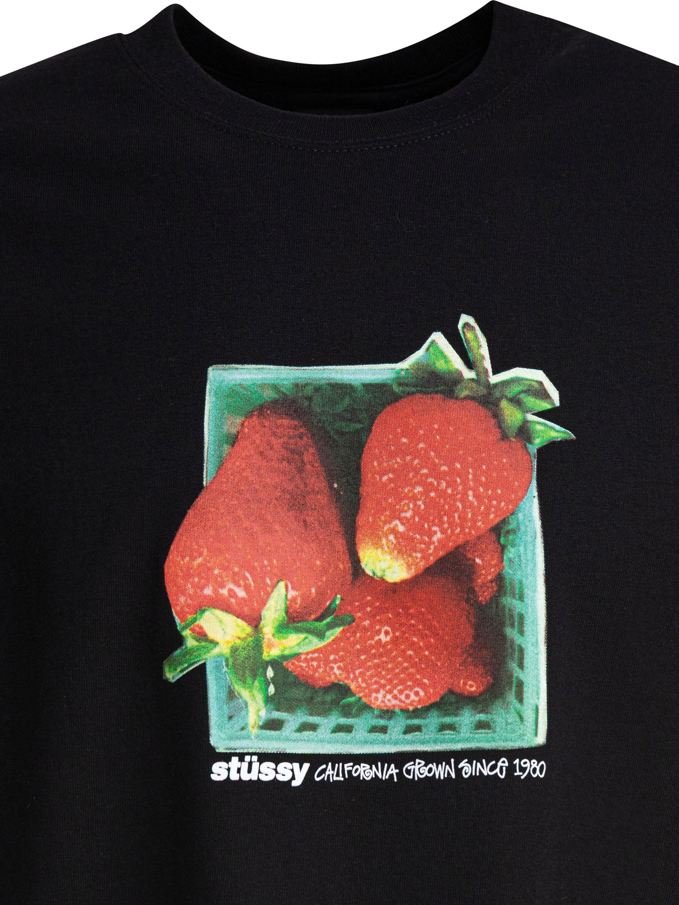 STUSSY Berries Graphic Mini Tee for Men