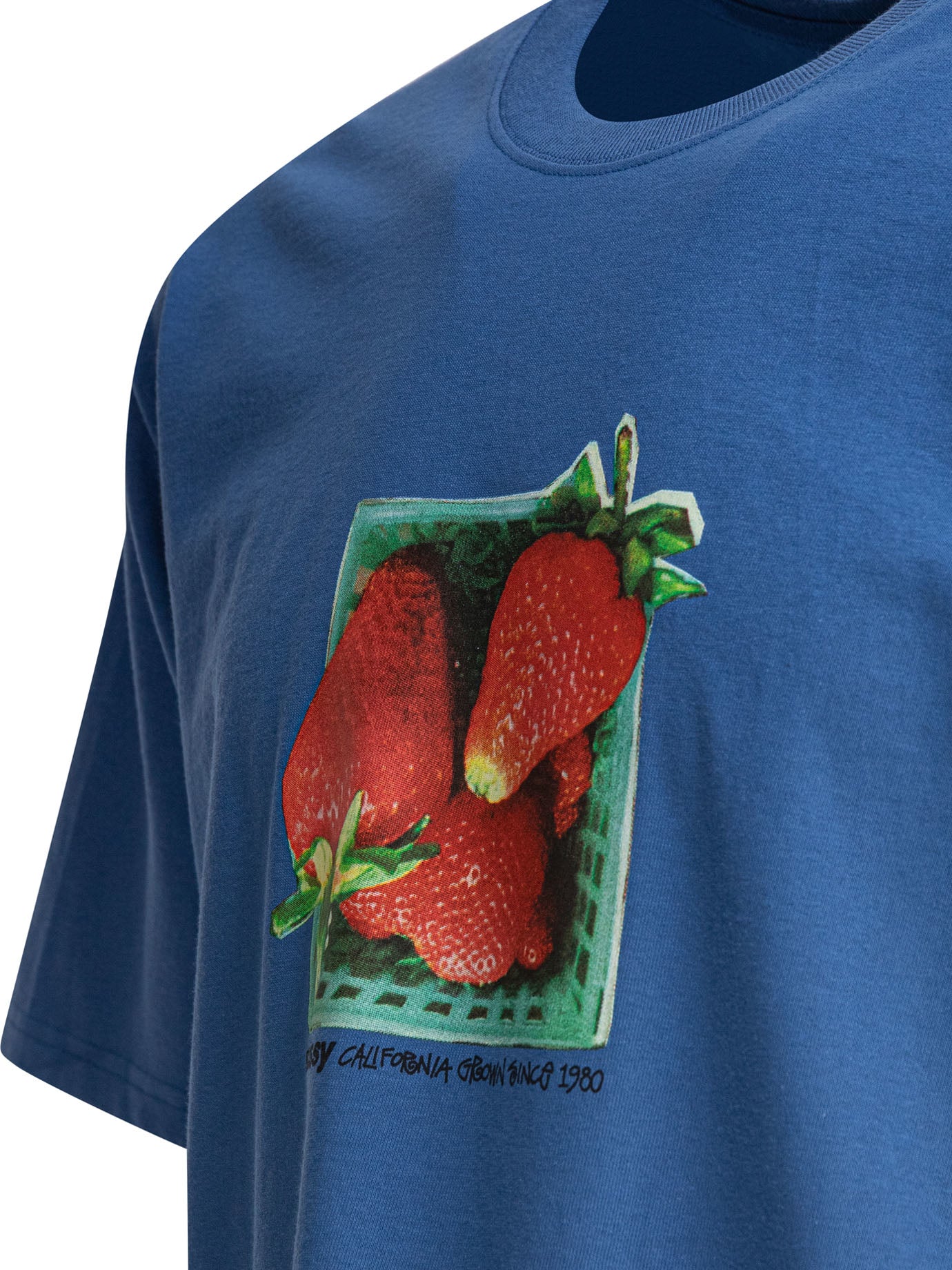 STUSSY Men's Mini Berries Tee