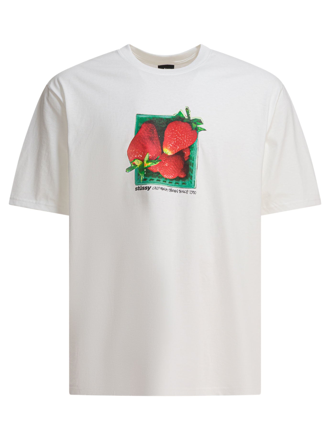 STUSSY Berries Graphic Tee - Men's Casual Fit