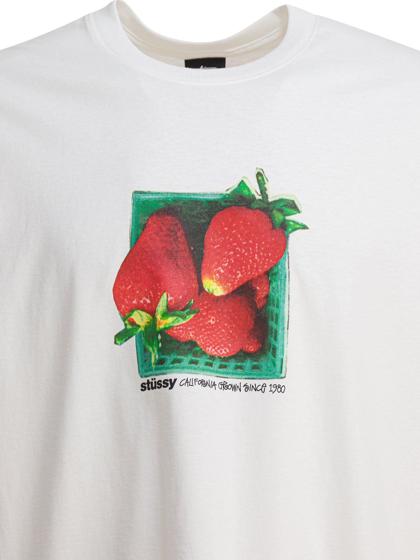 STUSSY Berries Graphic Tee - Men's Casual Fit