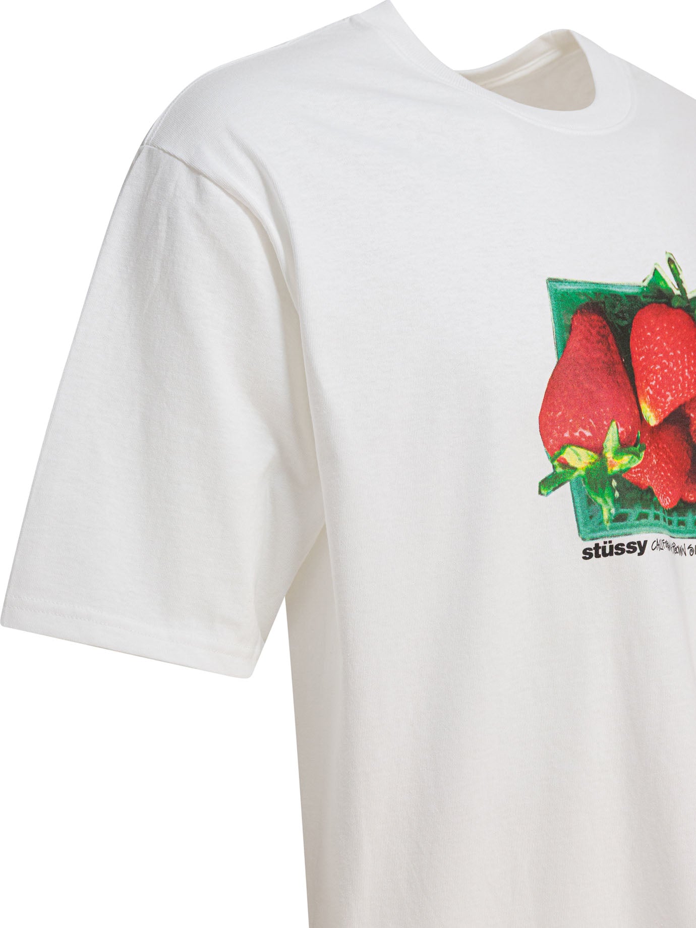 STUSSY Berries Graphic Tee - Men's Casual Fit