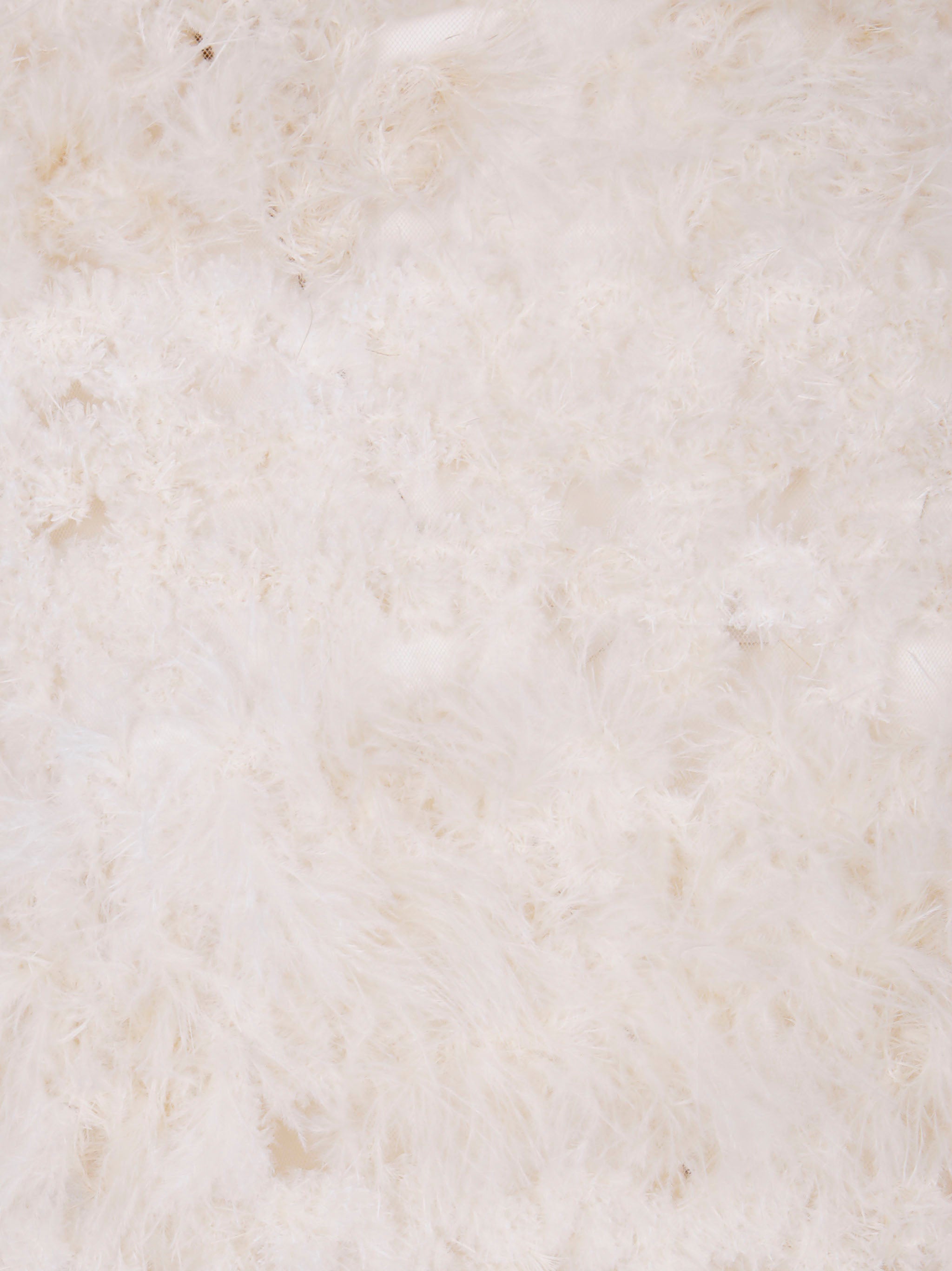 AVIU Feather Embroidered Mini Blouse