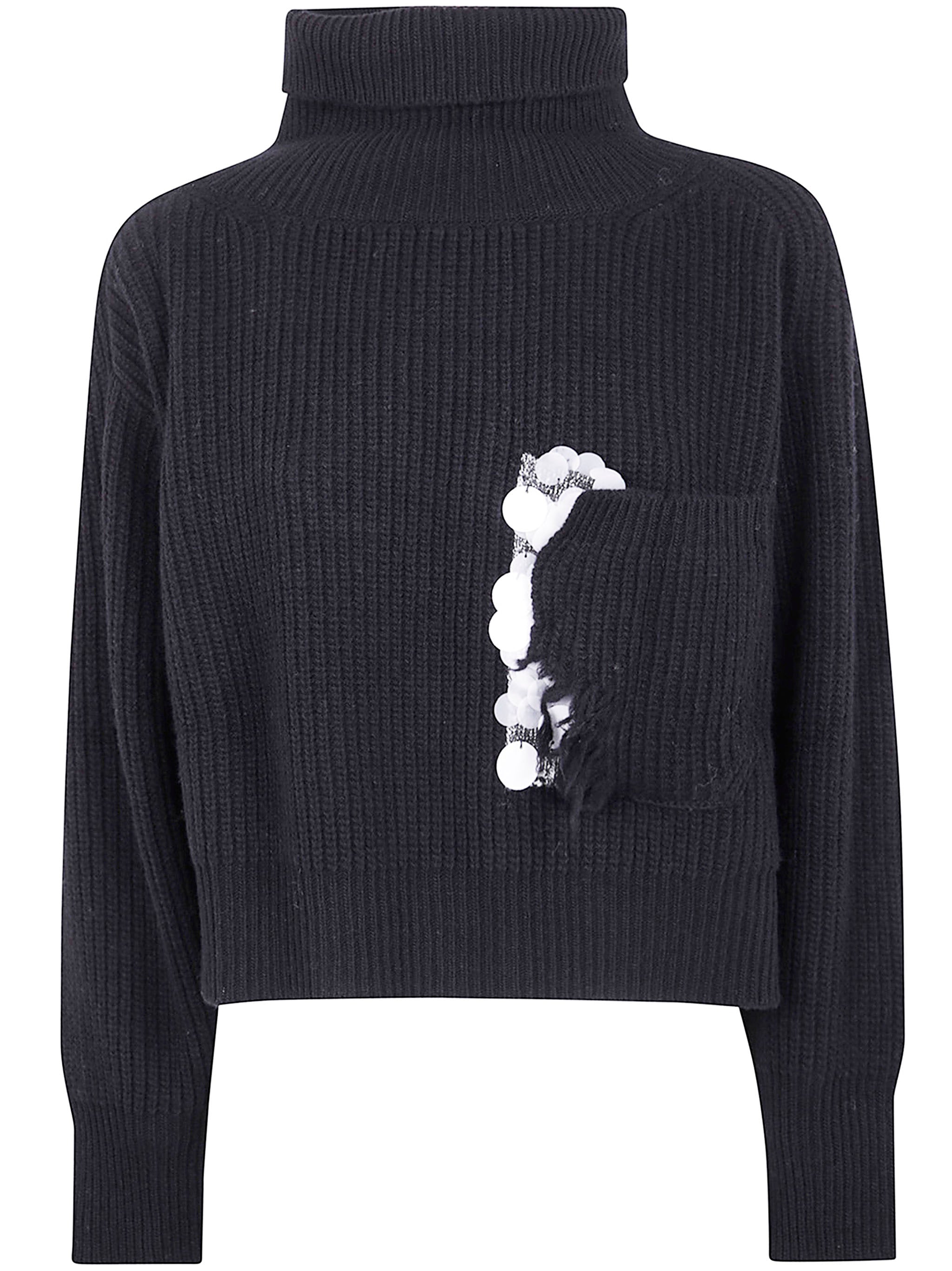 AVIU Embroidered High Turtle Neck Sweater