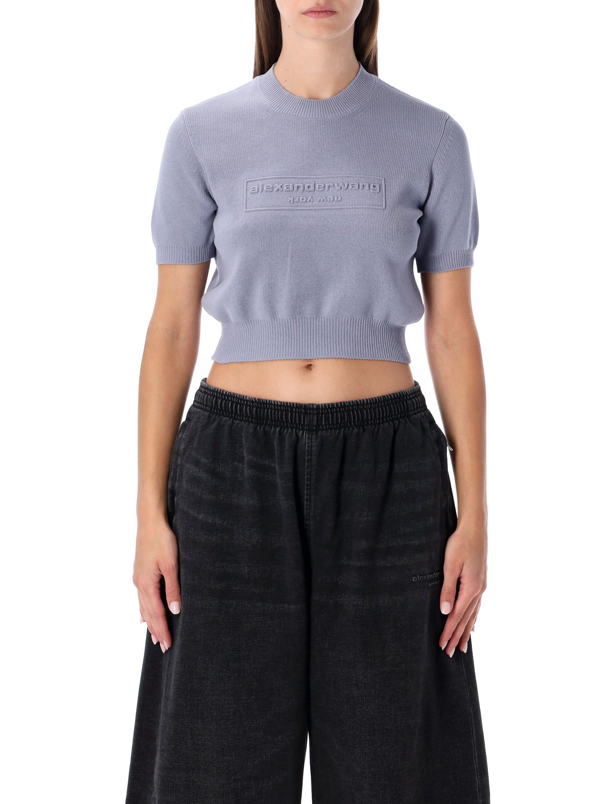 ALEXANDER WANG Mini Cropped Ribbed Chenille Sweater