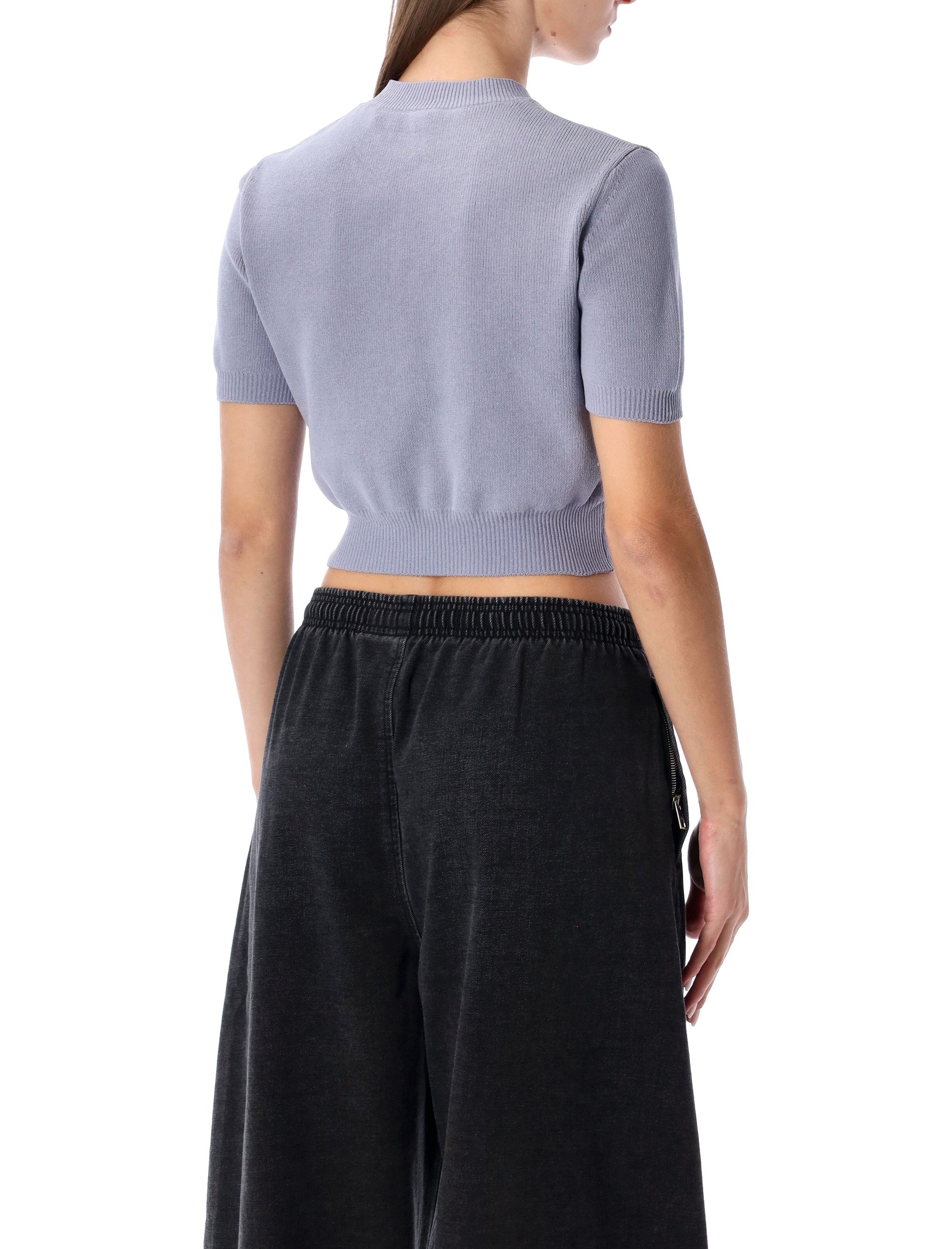 ALEXANDER WANG Mini Cropped Ribbed Chenille Sweater
