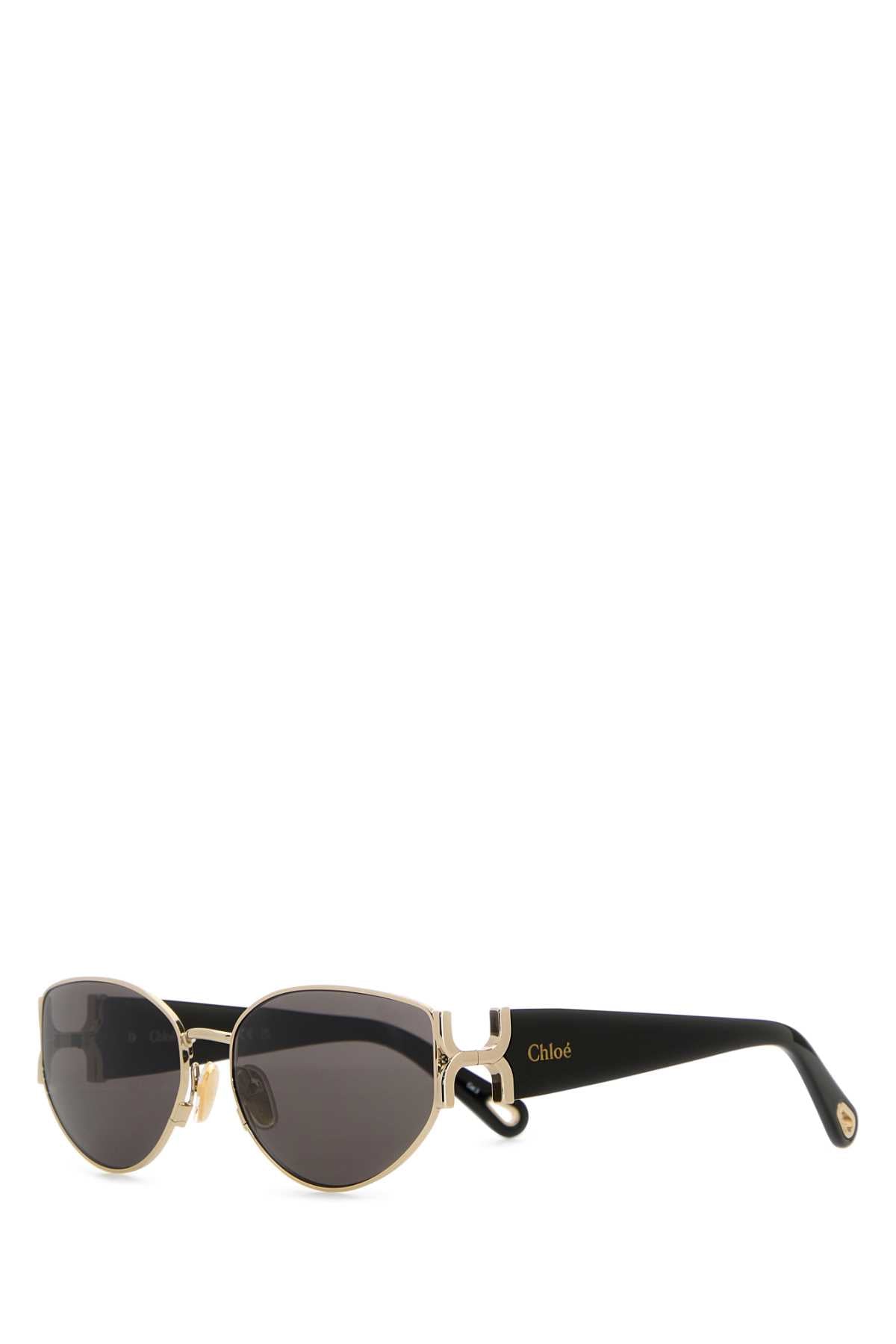 CHLOE Classic Acetate Sunglasses 59mm