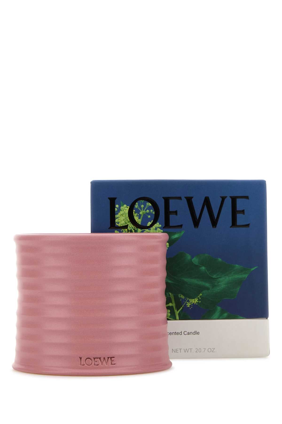 LOEWE Medium Ivy Scented Candle