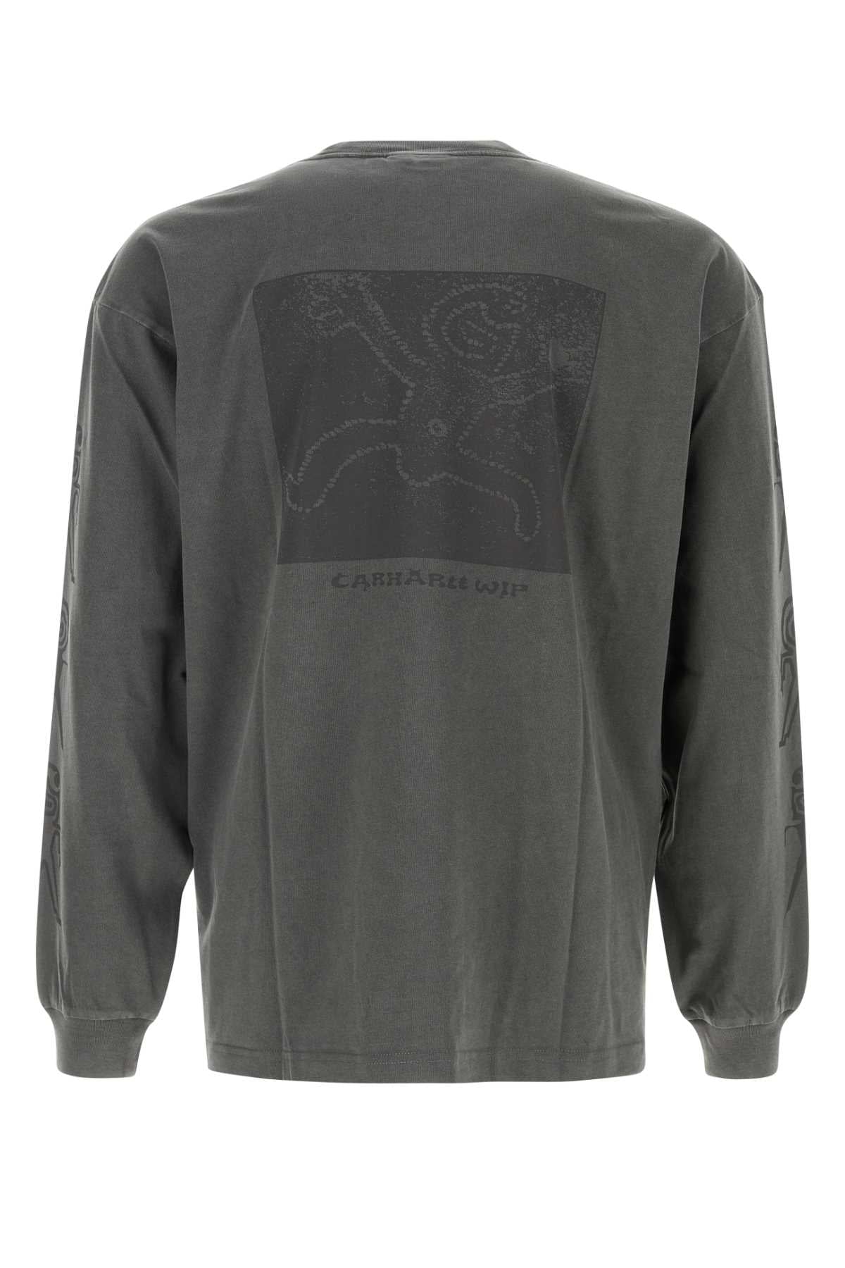 CARHARTT WIP Long Sleeve Terrestrial T-Shirt for Men - FW25 Edition
