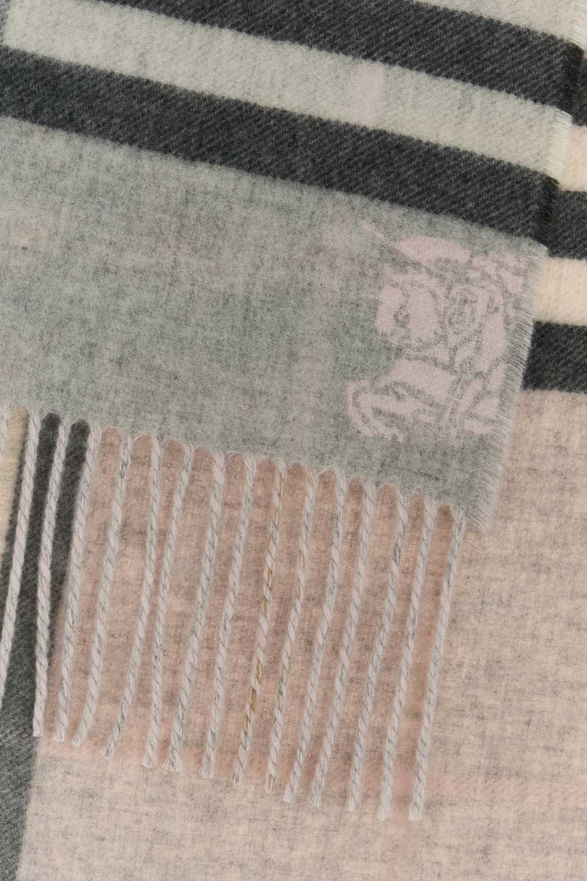 BURBERRY Embroidered Cashmere Scarf (168 cm x 30 cm)