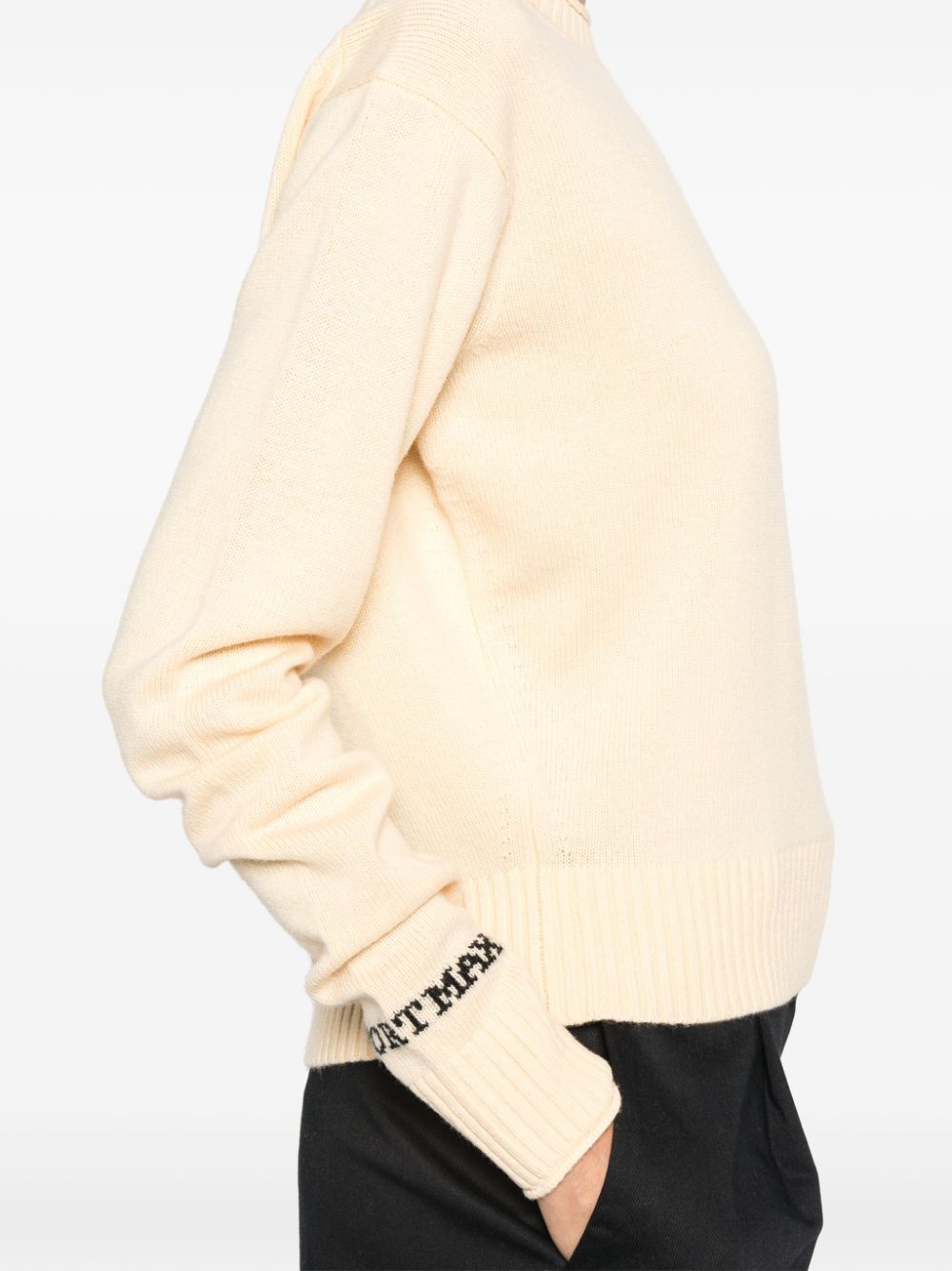 MAX MARA SPORTMAX Wool Crewneck Sweater
