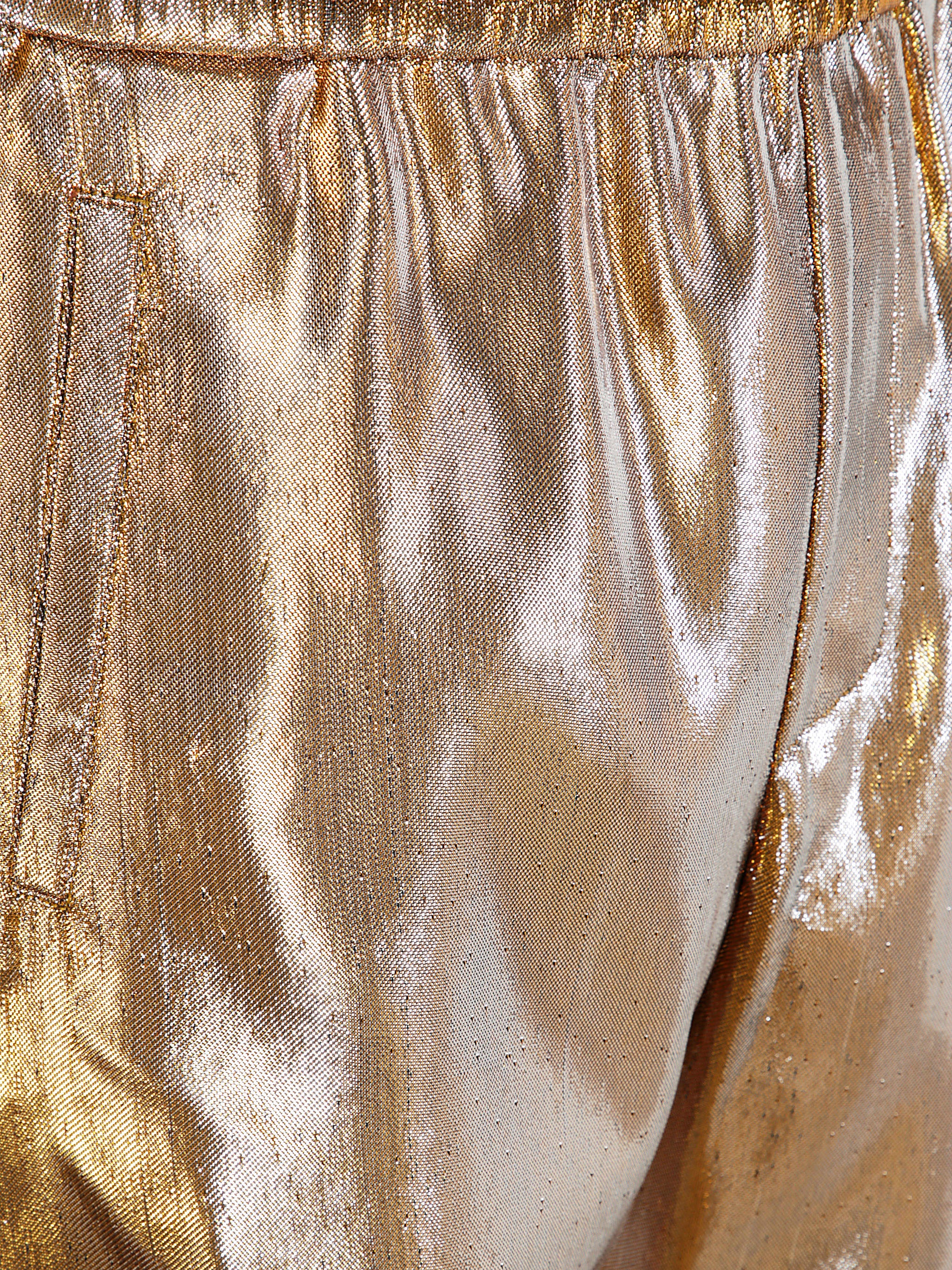 DRIES VAN NOTEN Metallic Trousers for Men - SS25