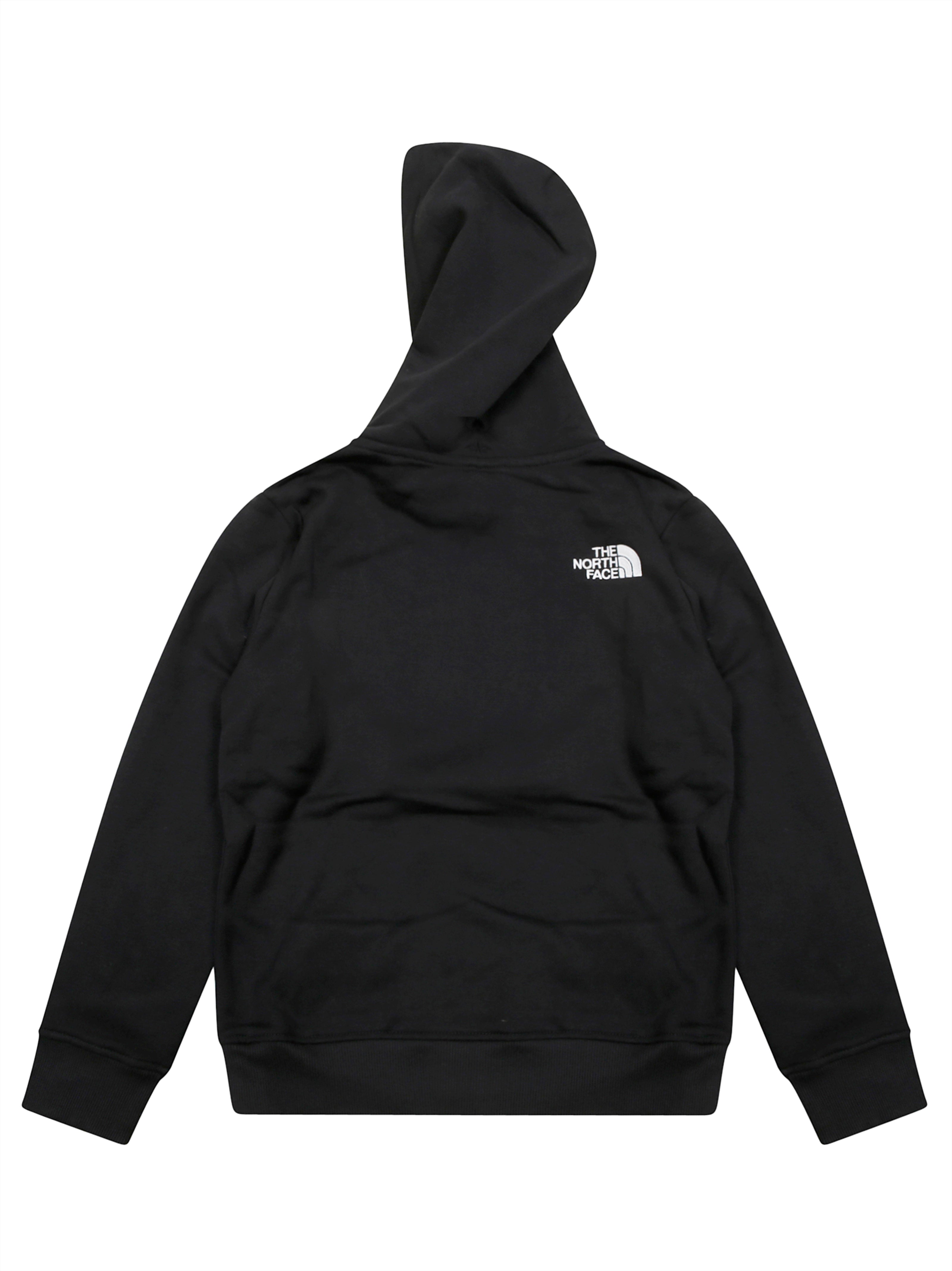 THE NORTH FACE Teen Drew Peak Hoodie