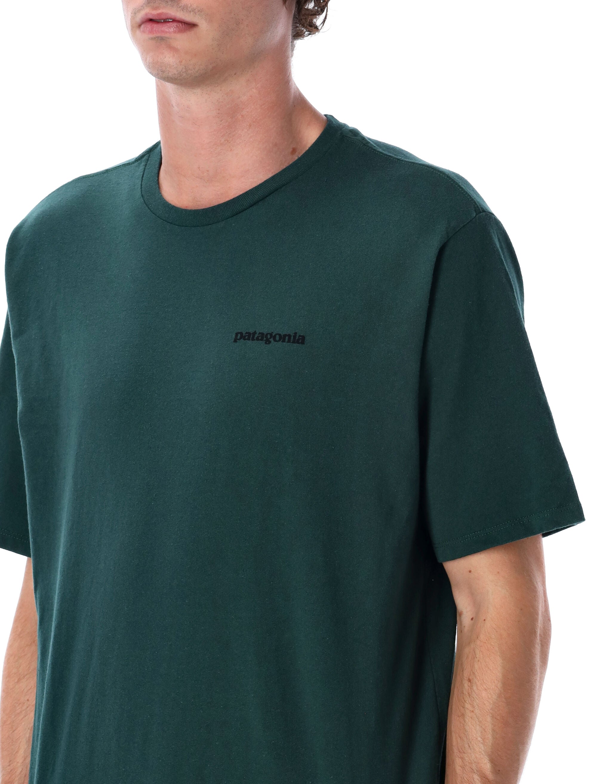 PATAGONIA P-6 Logo Responsibili-Tee - Size L