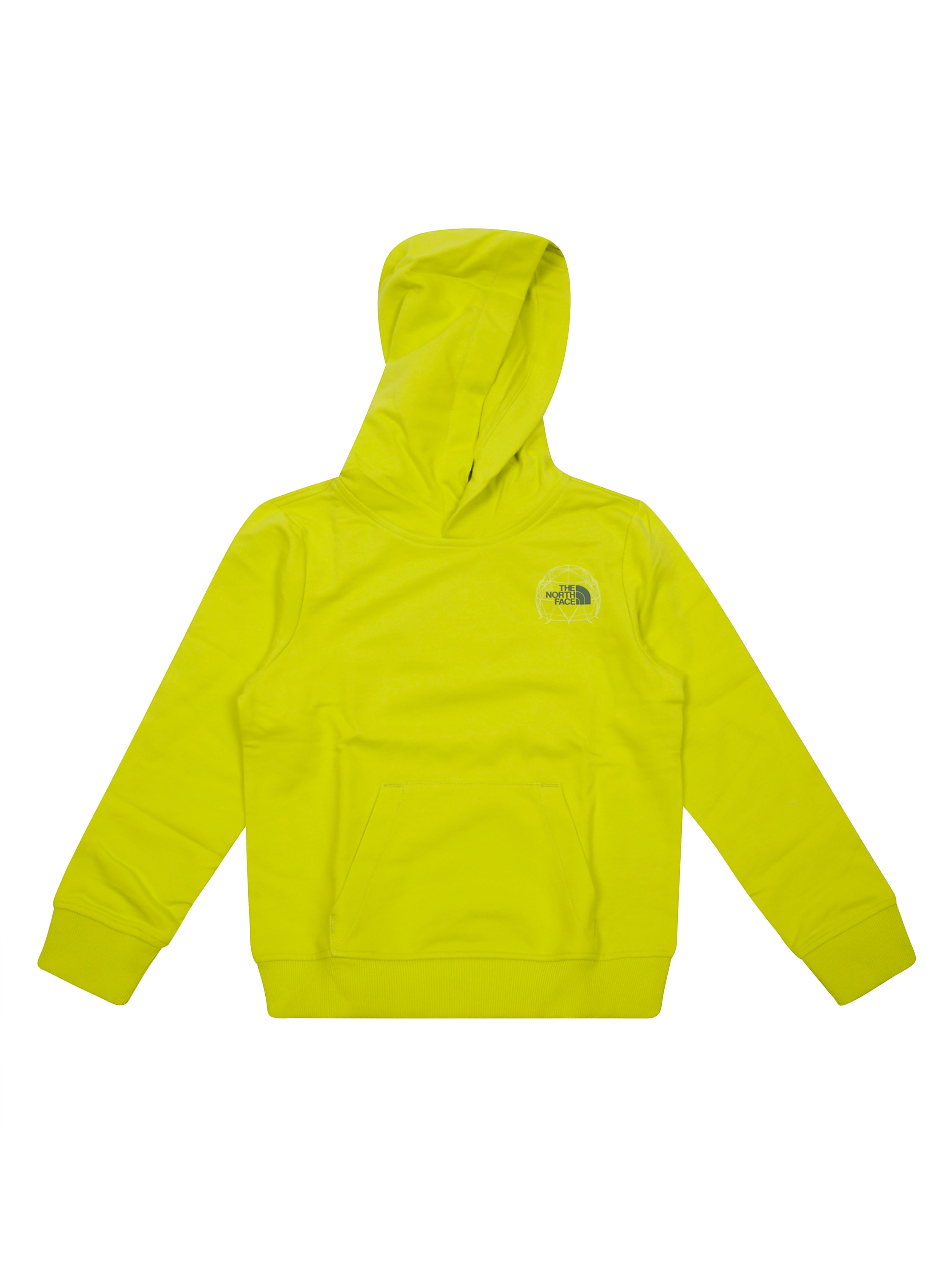 THE NORTH FACE Graphic Relaxed Hoodie for Kids