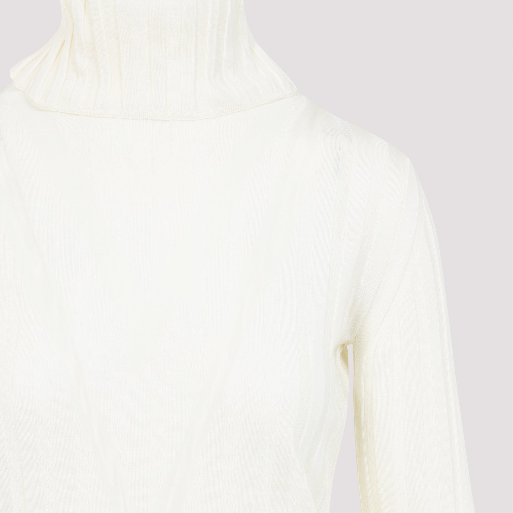 CARVEN Turtleneck Underpinning Pullover