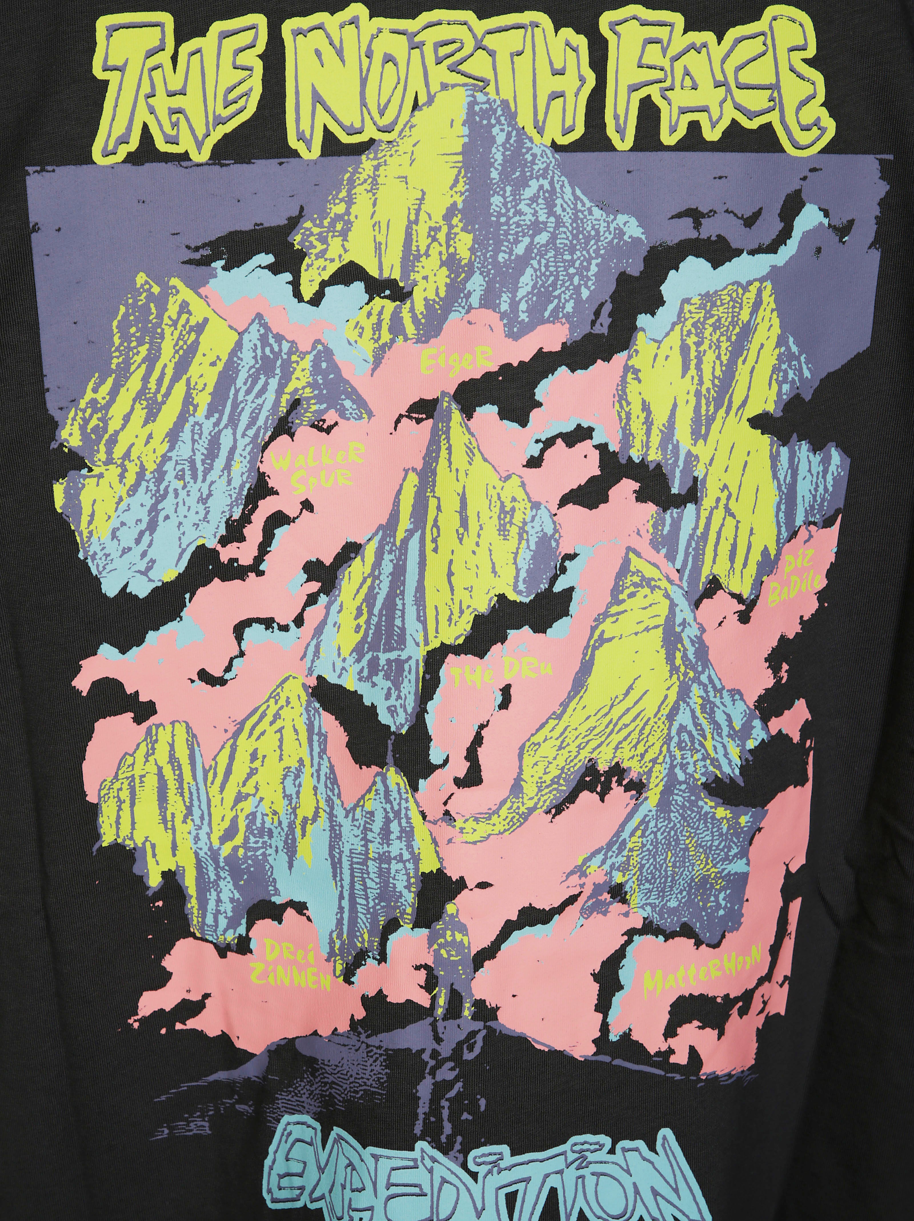 THE NORTH FACE Oversized Celebration T-Shirt for Women