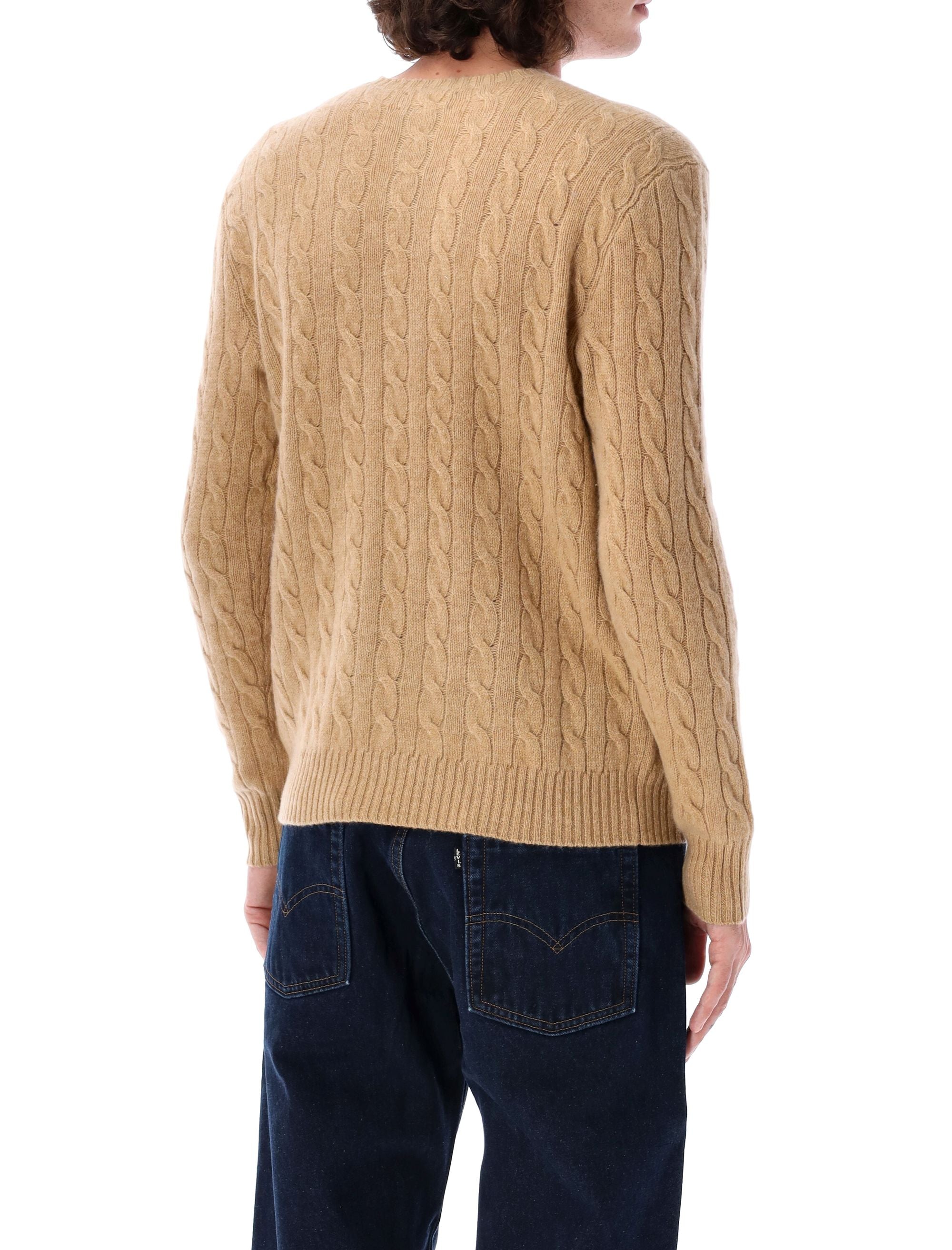 POLO RALPH LAUREN Men's Wool Blend Pullover Sweater