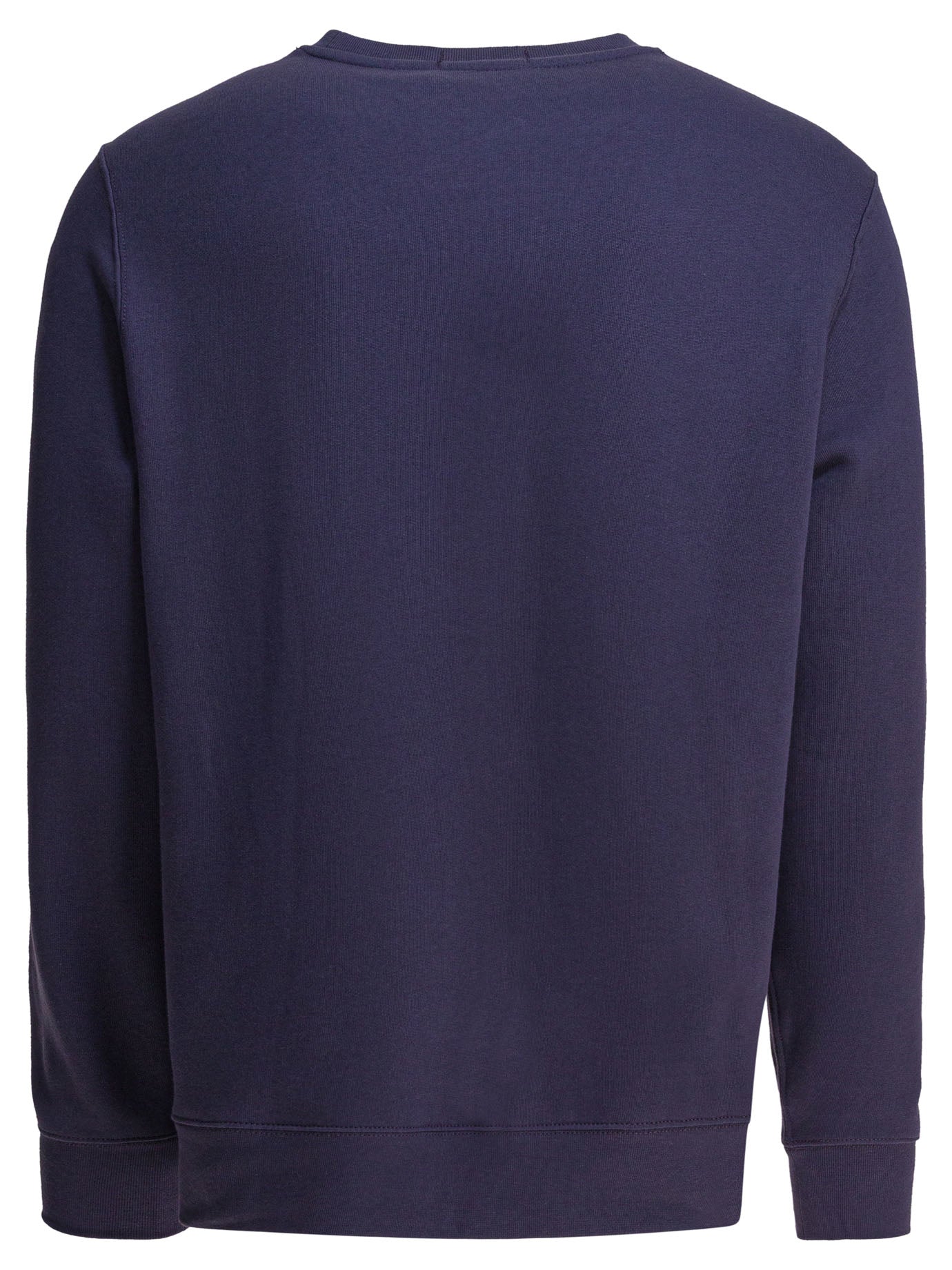 POLO RALPH LAUREN Polo Bear Sweatshirt - Regular Fit, Long Sleeves