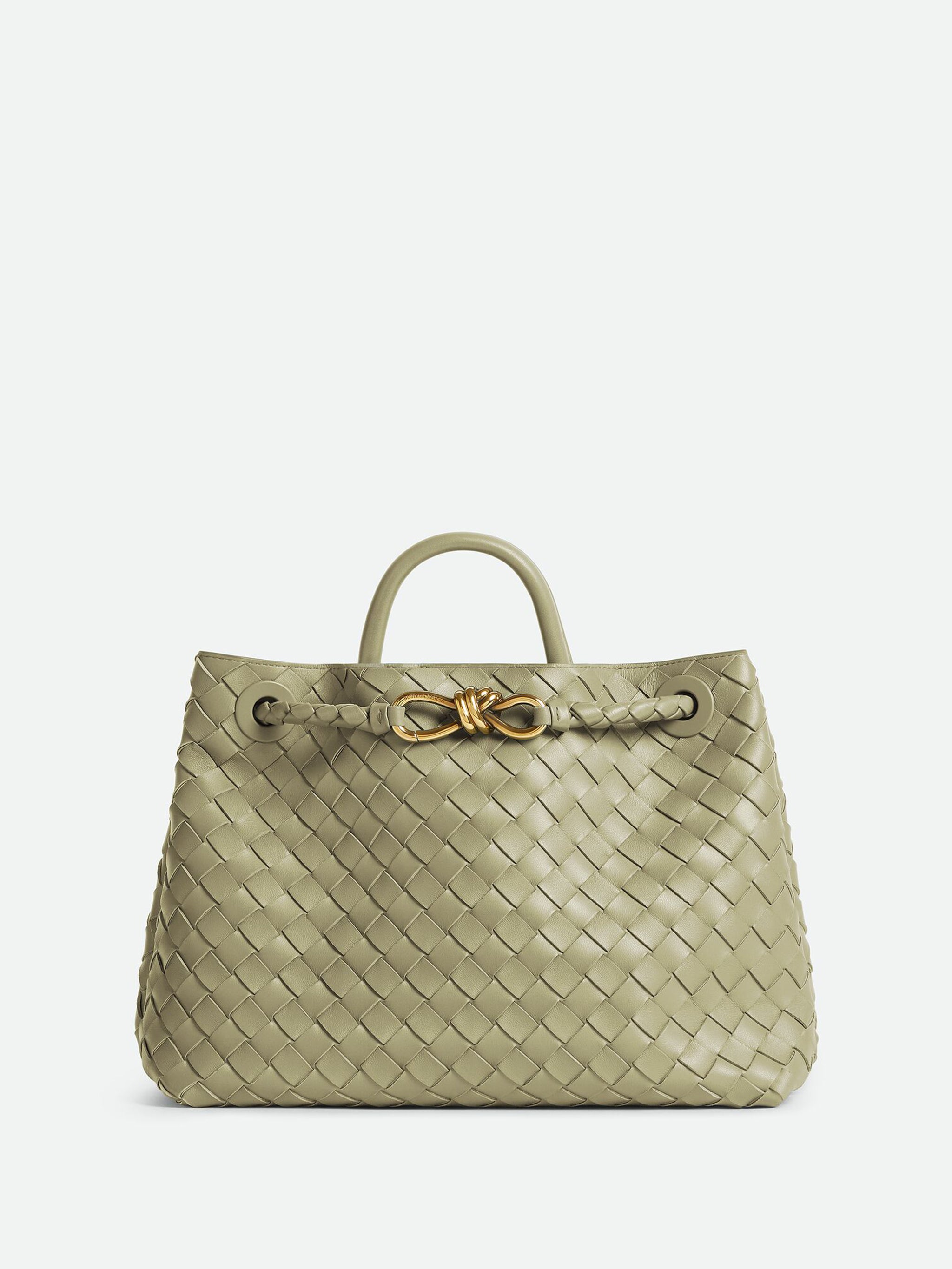 BOTTEGA VENETA Medium Andiamo Handbag