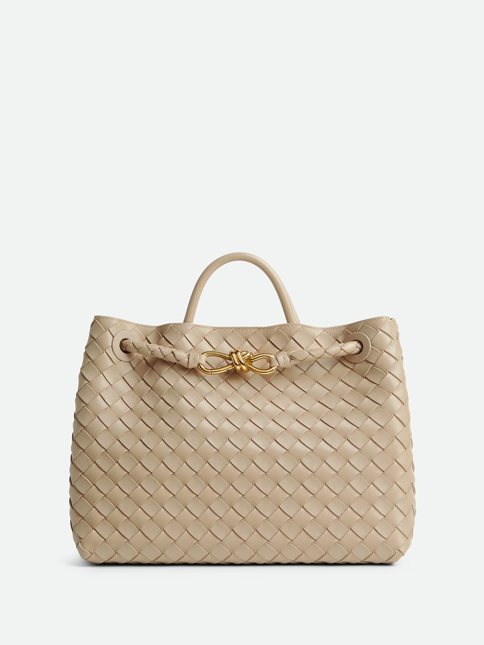 BOTTEGA VENETA Medium Andiamo Handbag