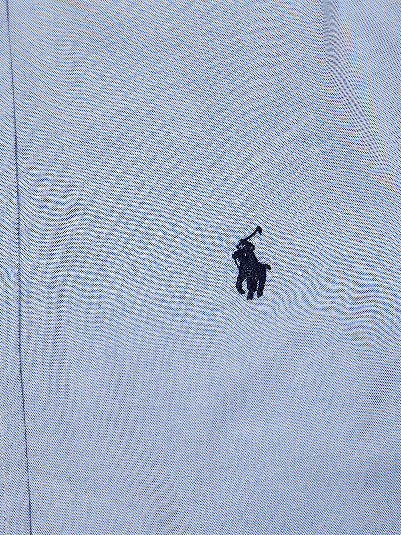 POLO RALPH LAUREN Pinpoint Button-Down Shirt with Embroidered Detail