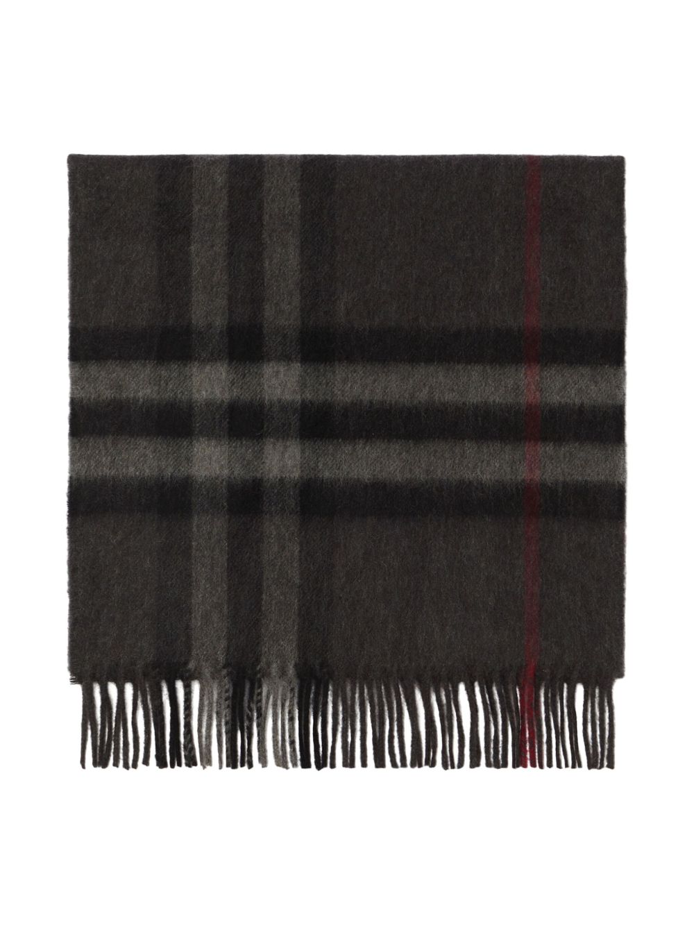BURBERRY Embroidered Cashmere Scarf