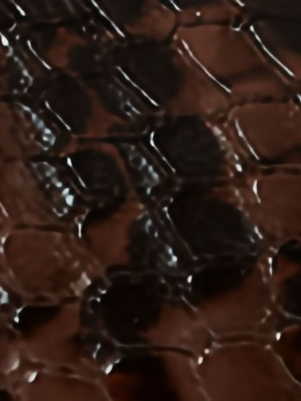 STELLA MCCARTNEY Chic Snakeskin Effect Platform Sneakers for Women