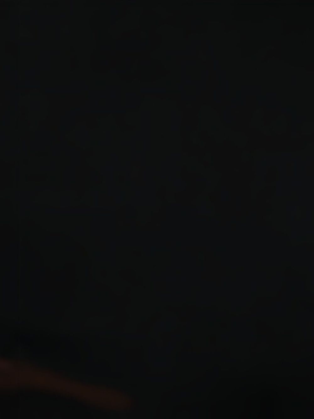 STELLA MCCARTNEY Skyla Platform Ballets for Women