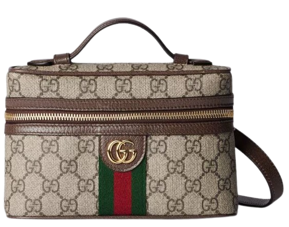 GUCCI Mini All-Around Zip Closure Handbag