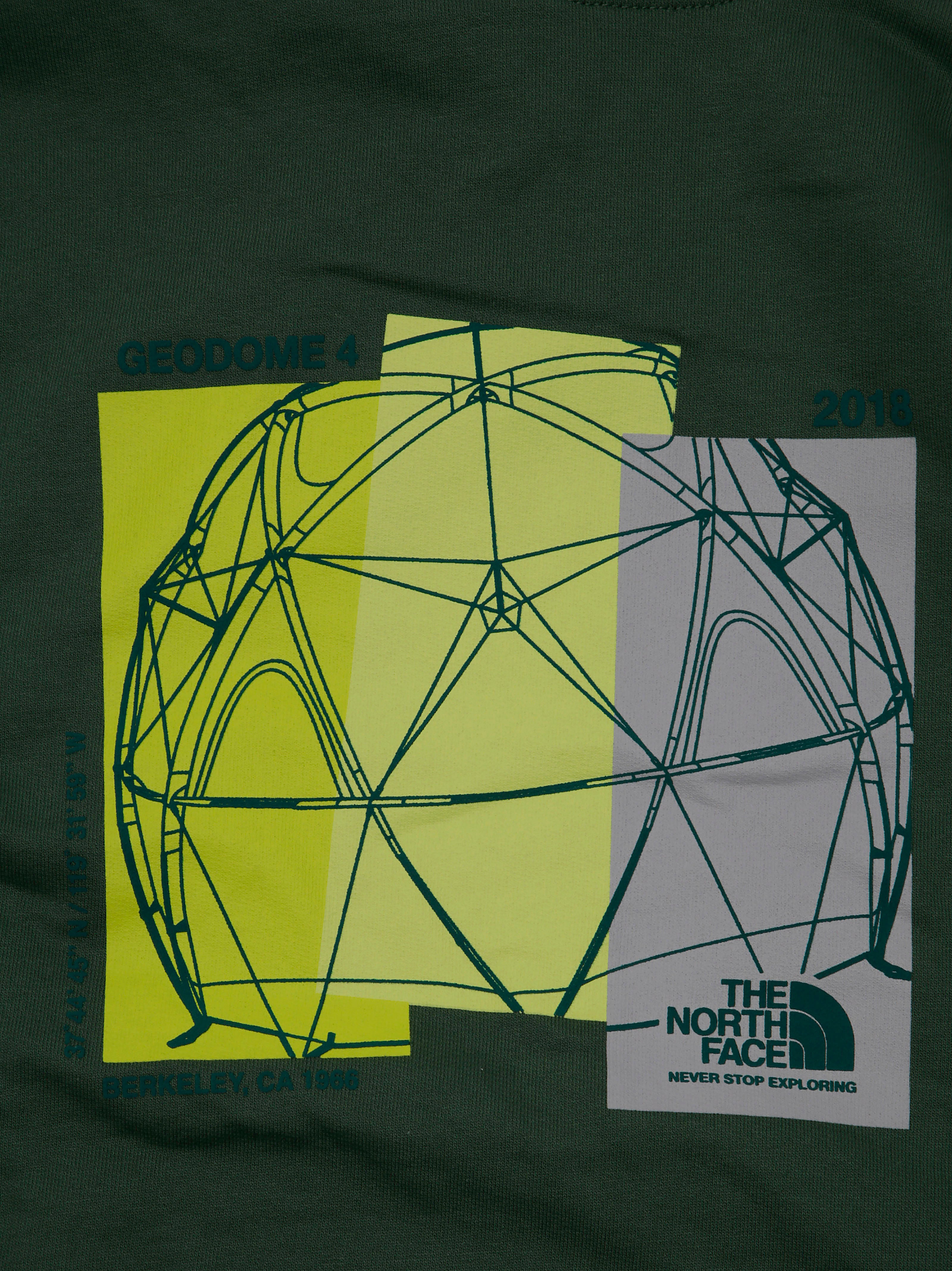 THE NORTH FACE Graphic Relaxed Hoodie