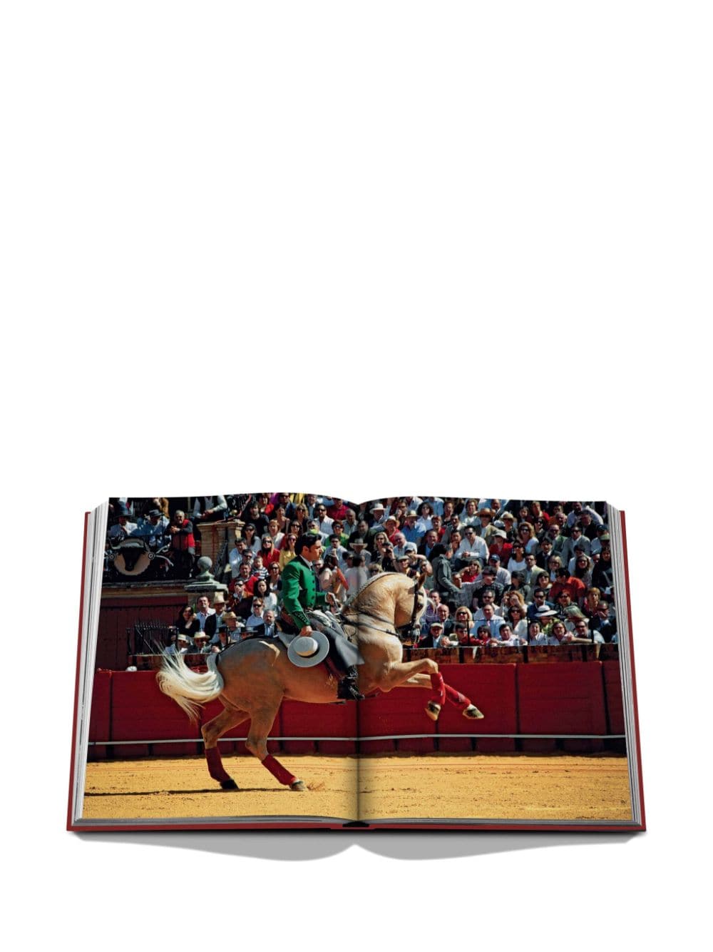 ASSOULINE Artistic Rectangle Coffee Table Book - Over 200 Pages