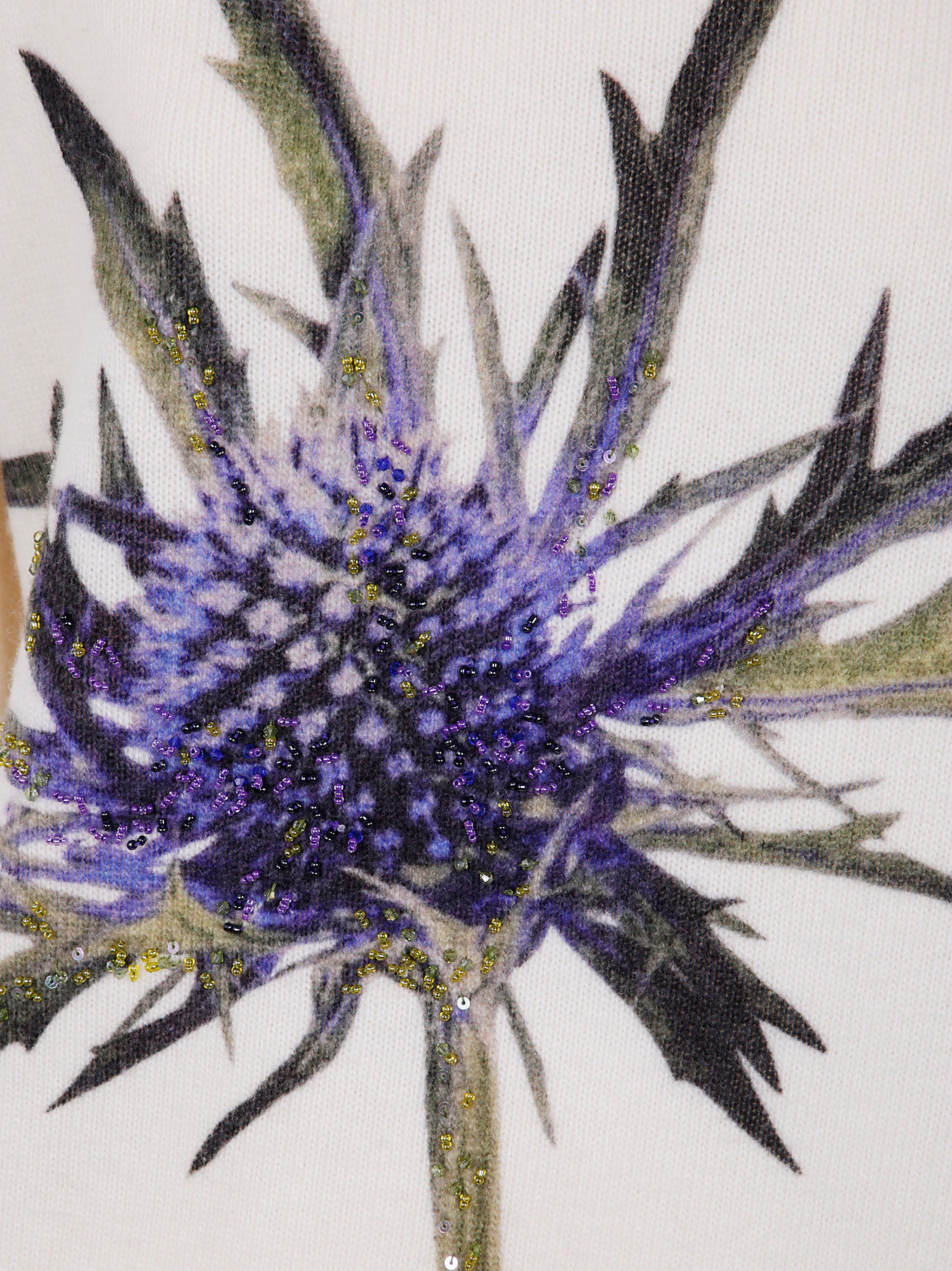 BLUMARINE Thistle Print Knit Round Neck Sweater