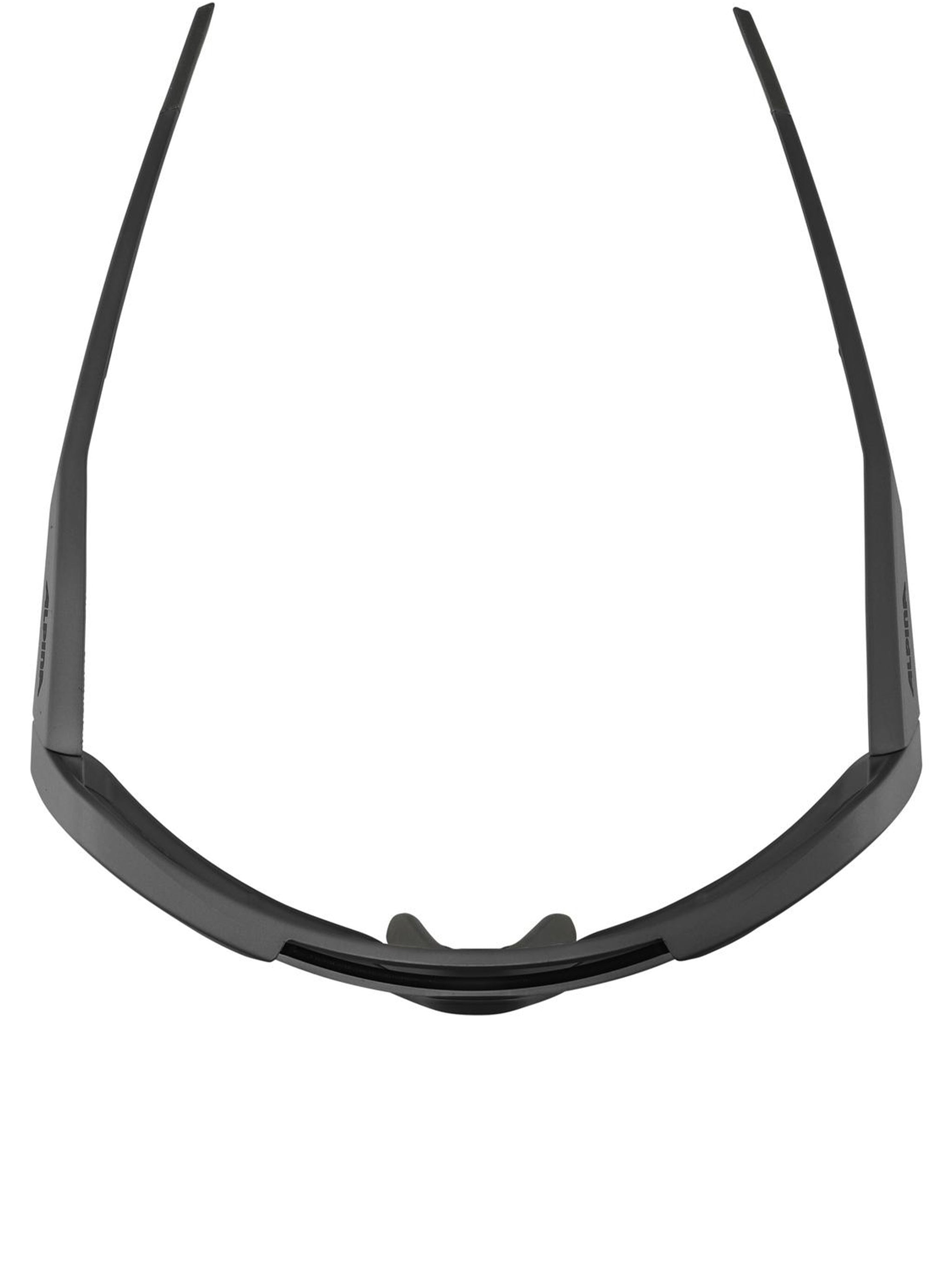 ALPINA Rocket V Plastic Sunglasses