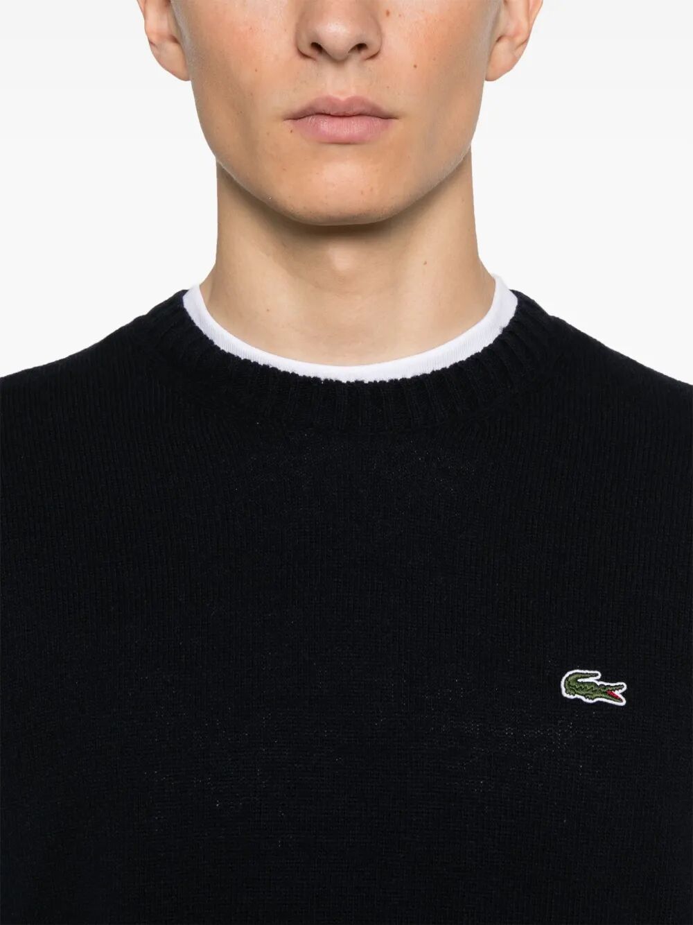 LACOSTE Wool Crew Neck Sweater for Men