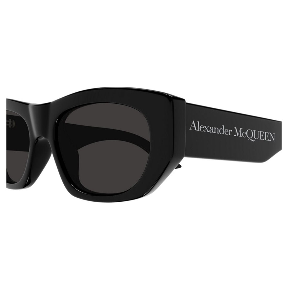 ALEXANDER MCQUEEN Classic Acetate Sunglasses