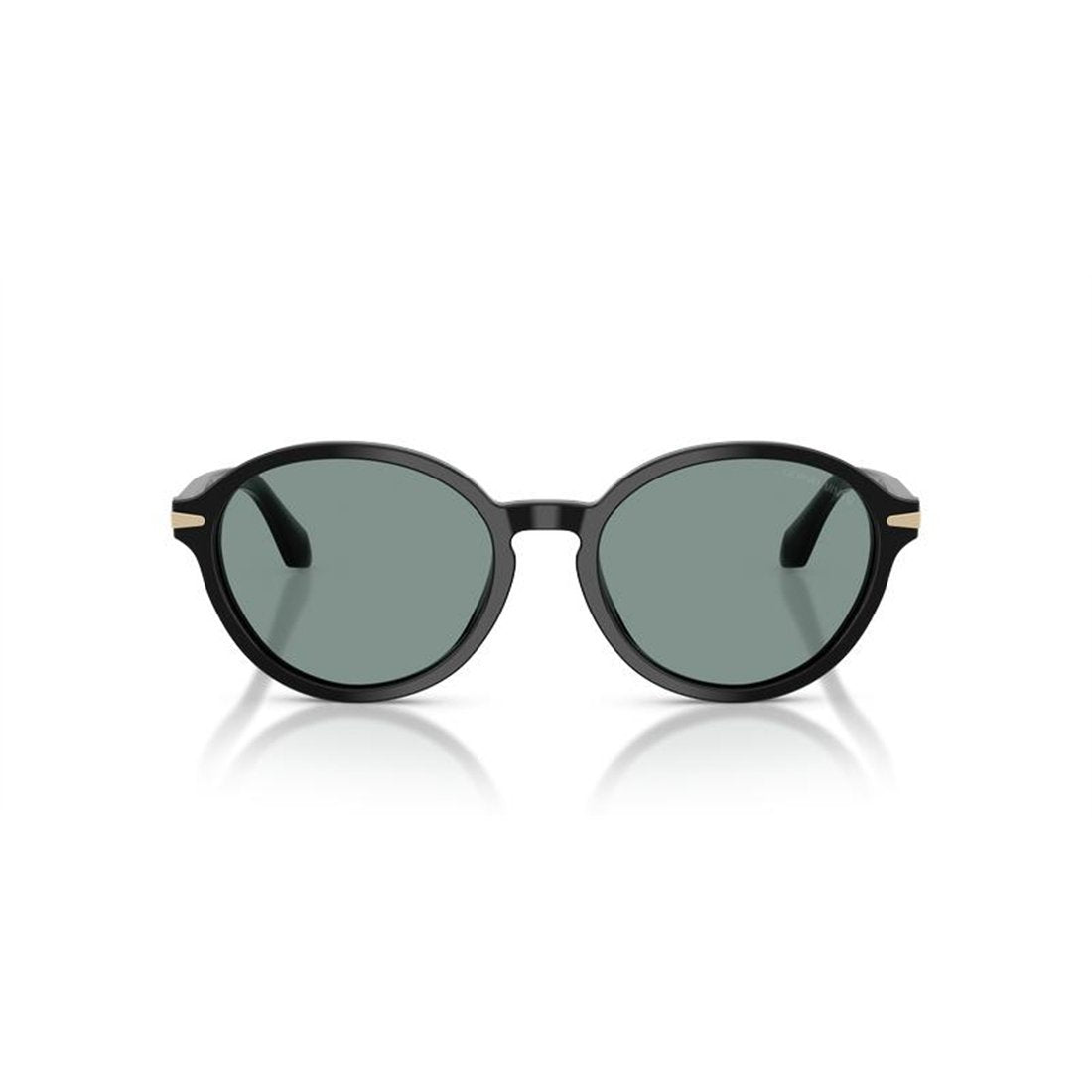 GIORGIO ARMANI Chic Women's Sunglasses - AR8237 Style