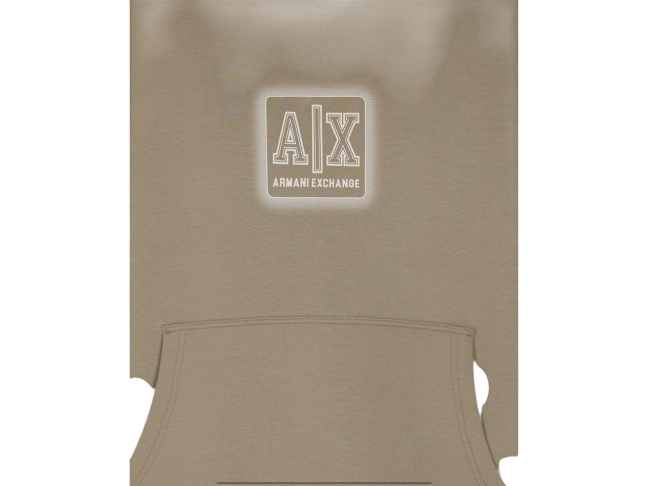 ARMANI EXCHANGE Regular Fit Hoodie with Striking Logo