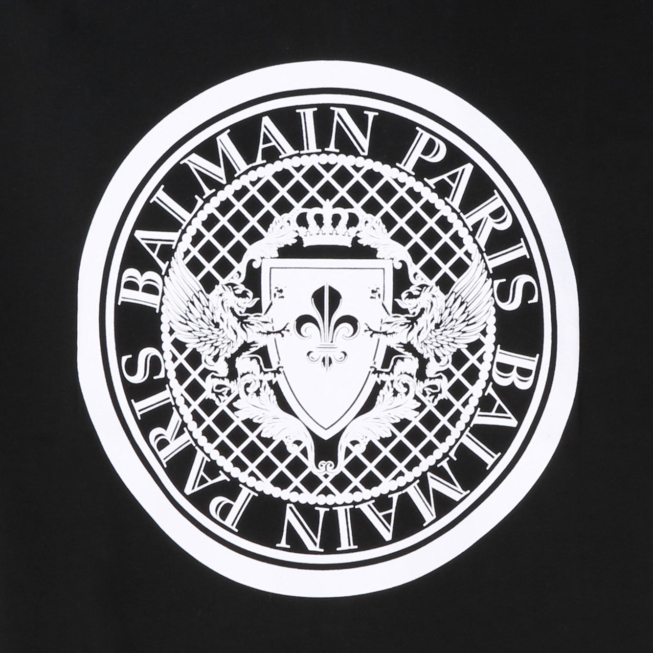 BALMAIN Organic Cotton Graphic T-Shirt for Men - FW24 Collection