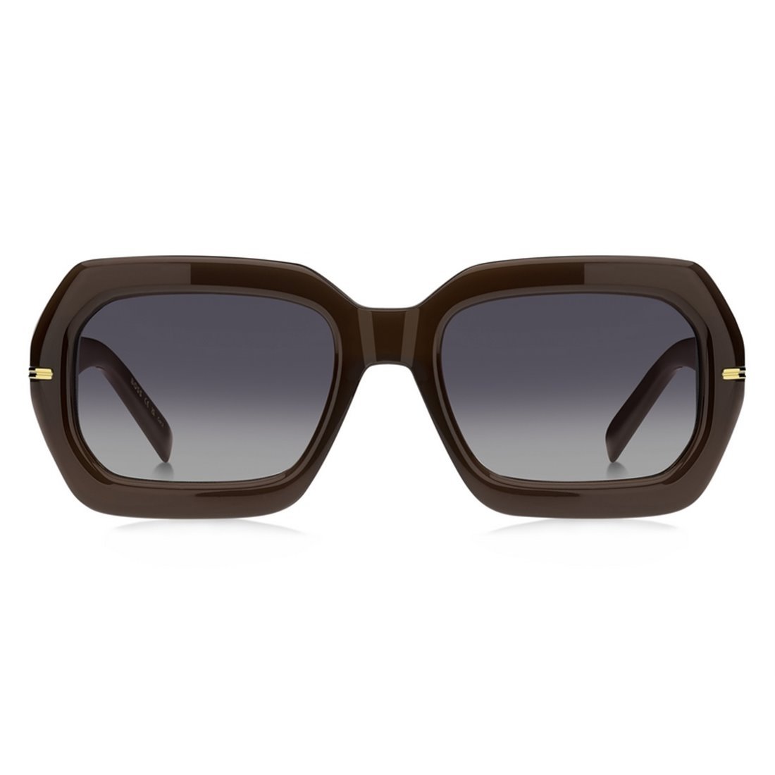 BOSS Stylish Acetate Women's Sunglasses