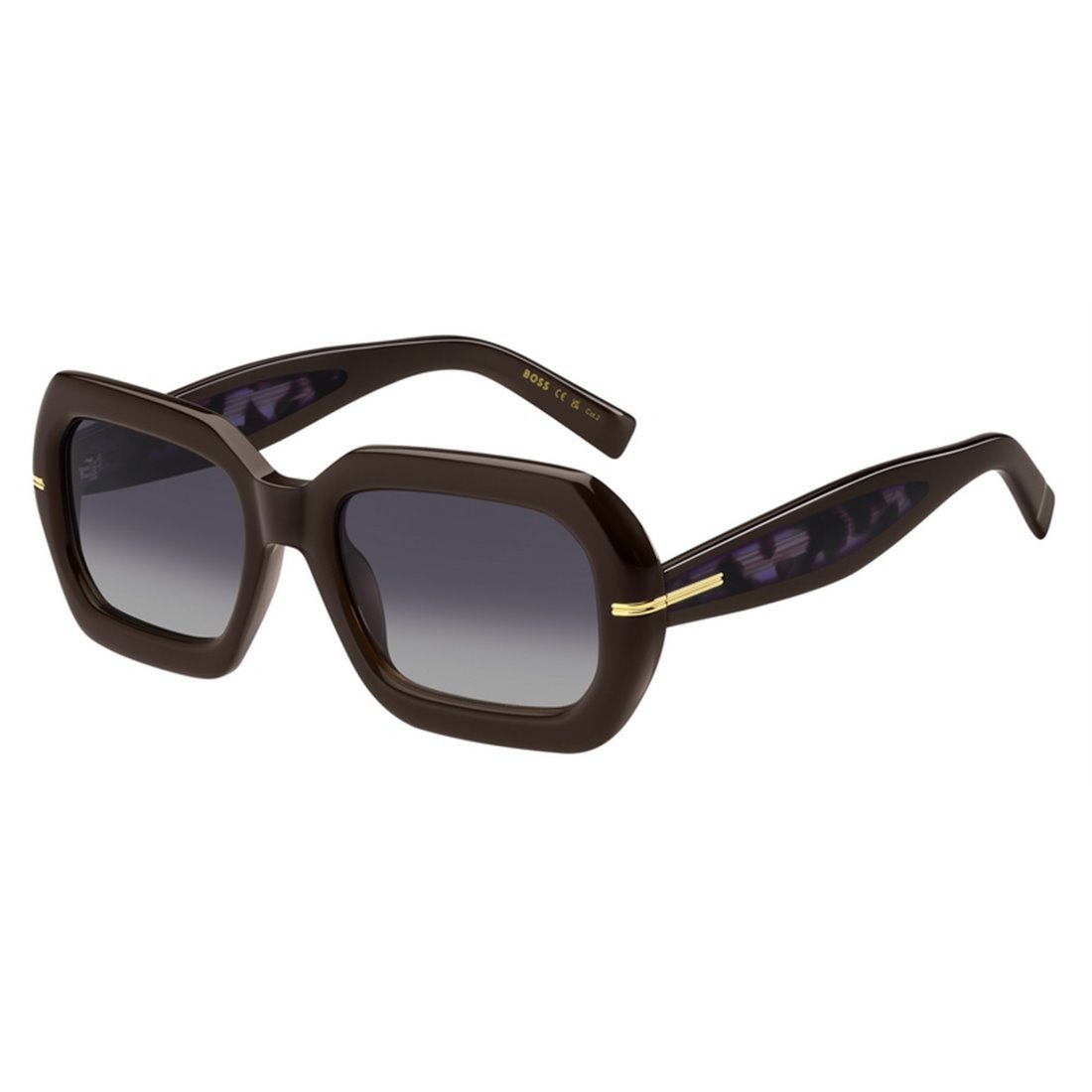 BOSS Stylish Acetate Women's Sunglasses