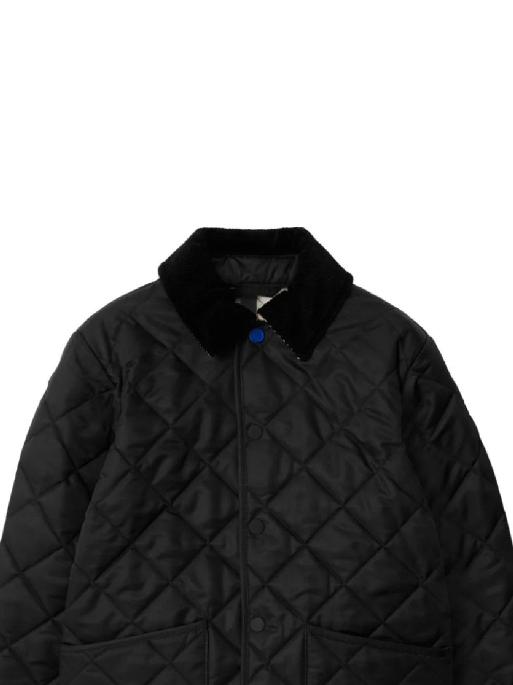 BURBERRY KIDS Trendy Junior Jacket for Stylish Kids